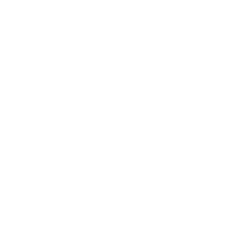 Heal Within