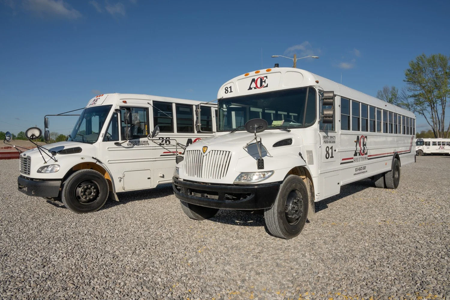 White school buses parked on gravel lot under blue sky with trees in background.