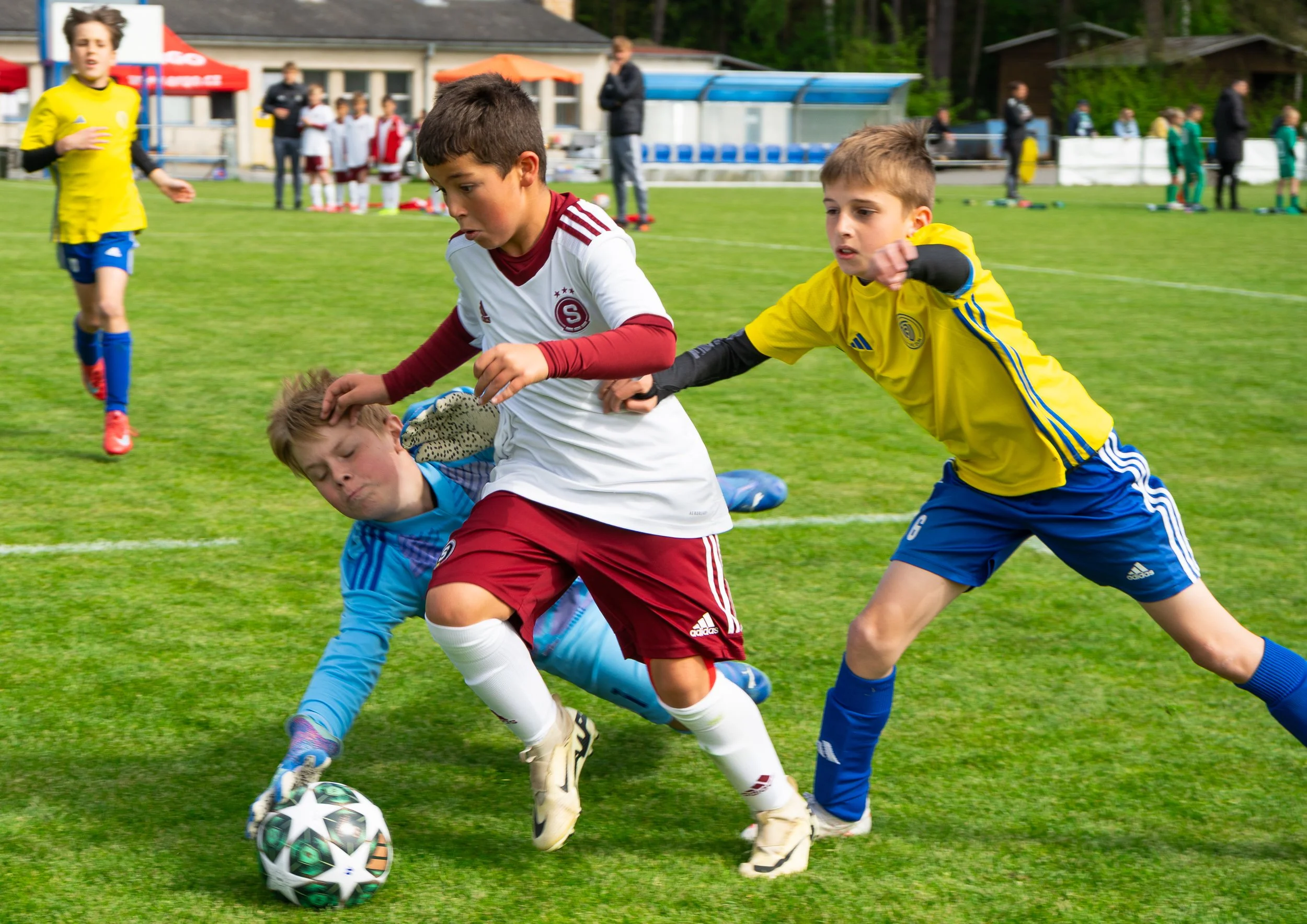 Bauer_Petr_AutodraftCup (8 of 18).jpg