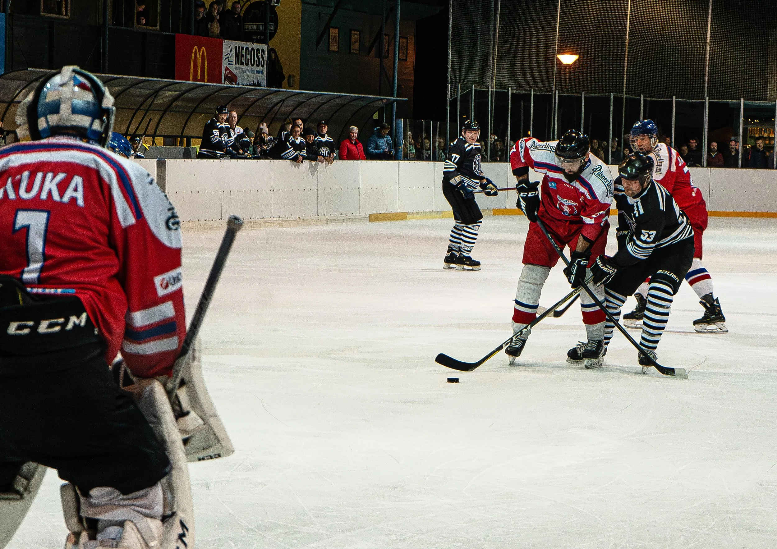 7BauerPetr_Hokej_14 kopie.jpg