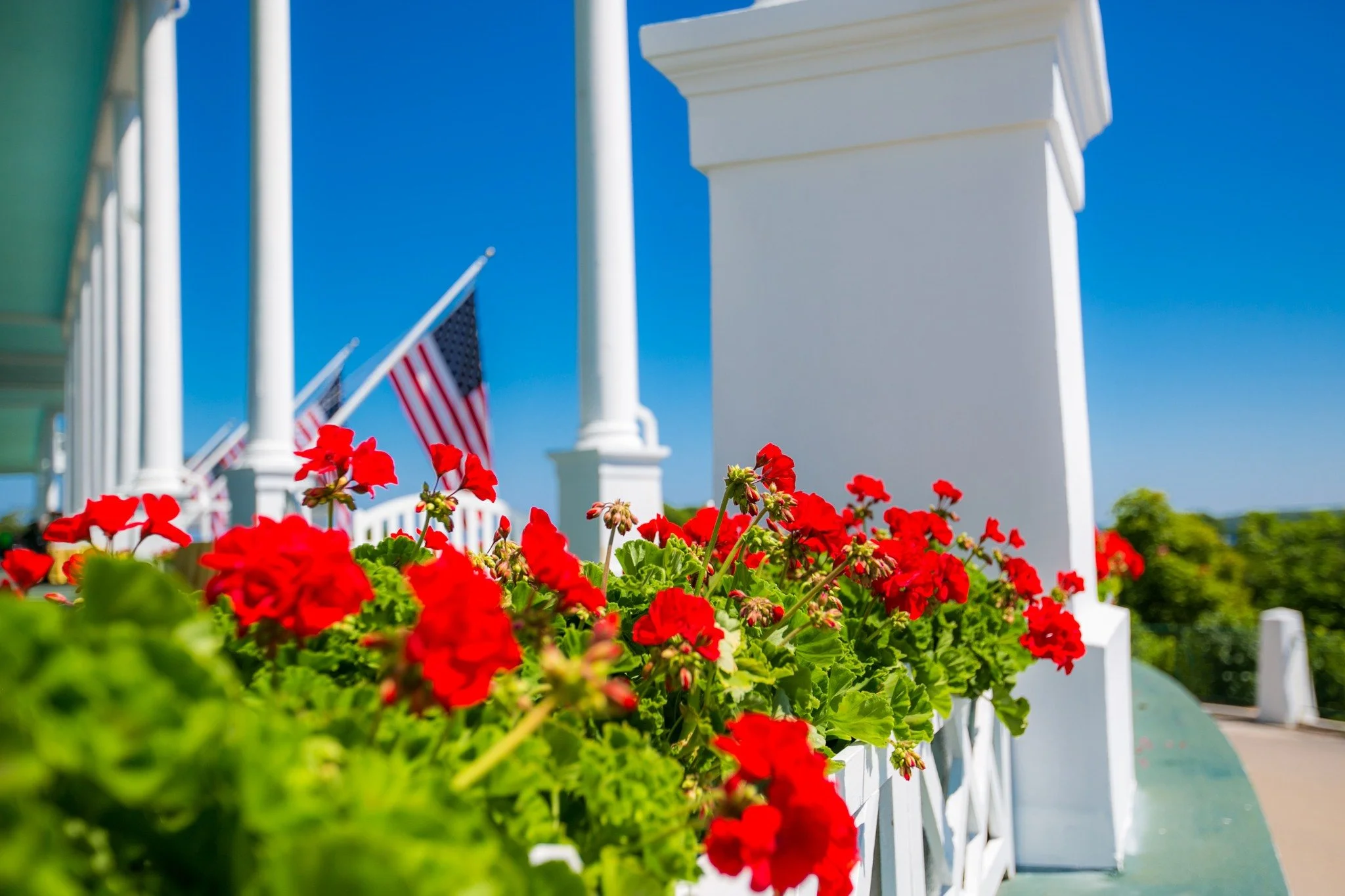 Red flowers in foreground with white porch railing and American flags in the background under a bright blue sky.