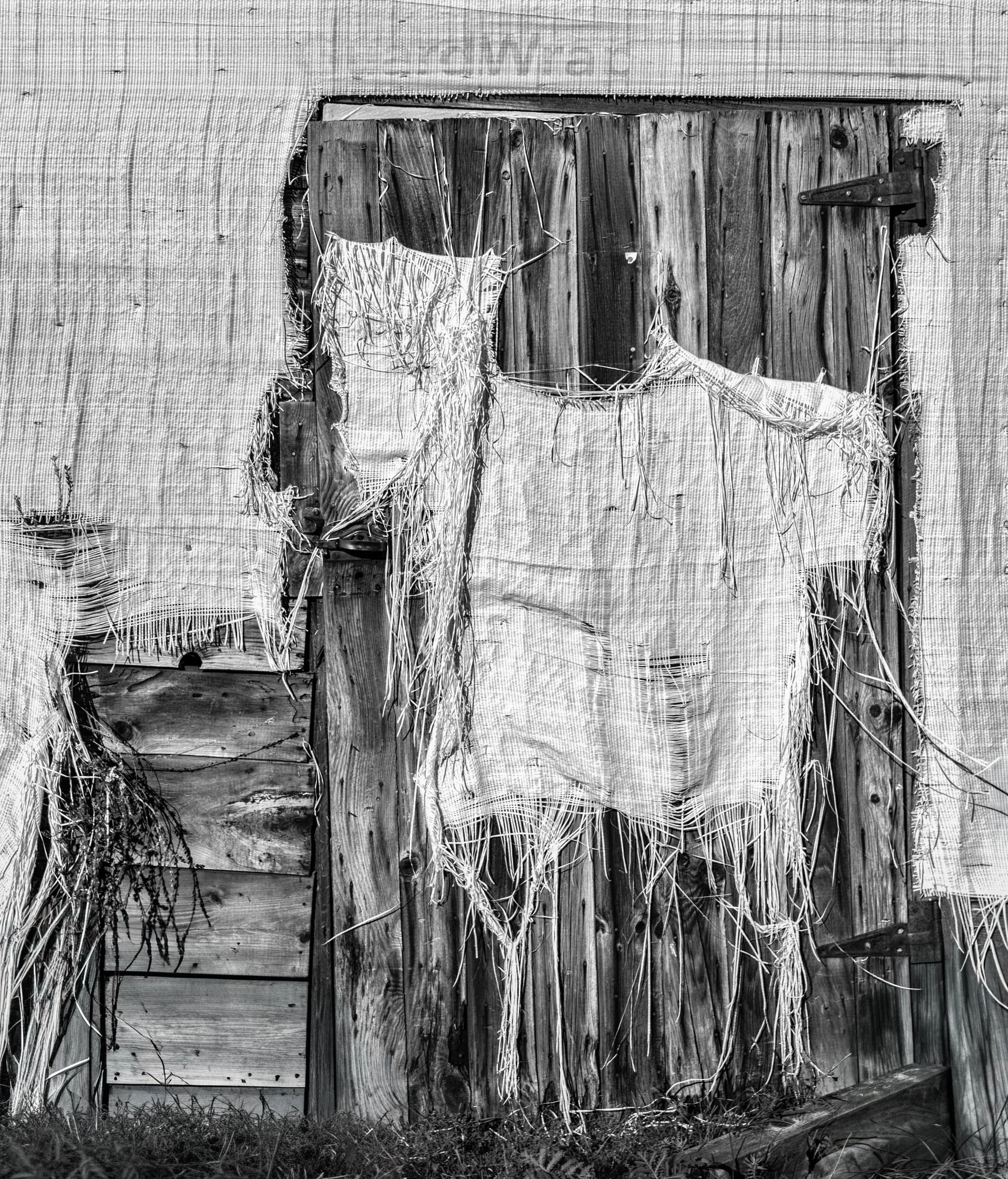 Remnants
 