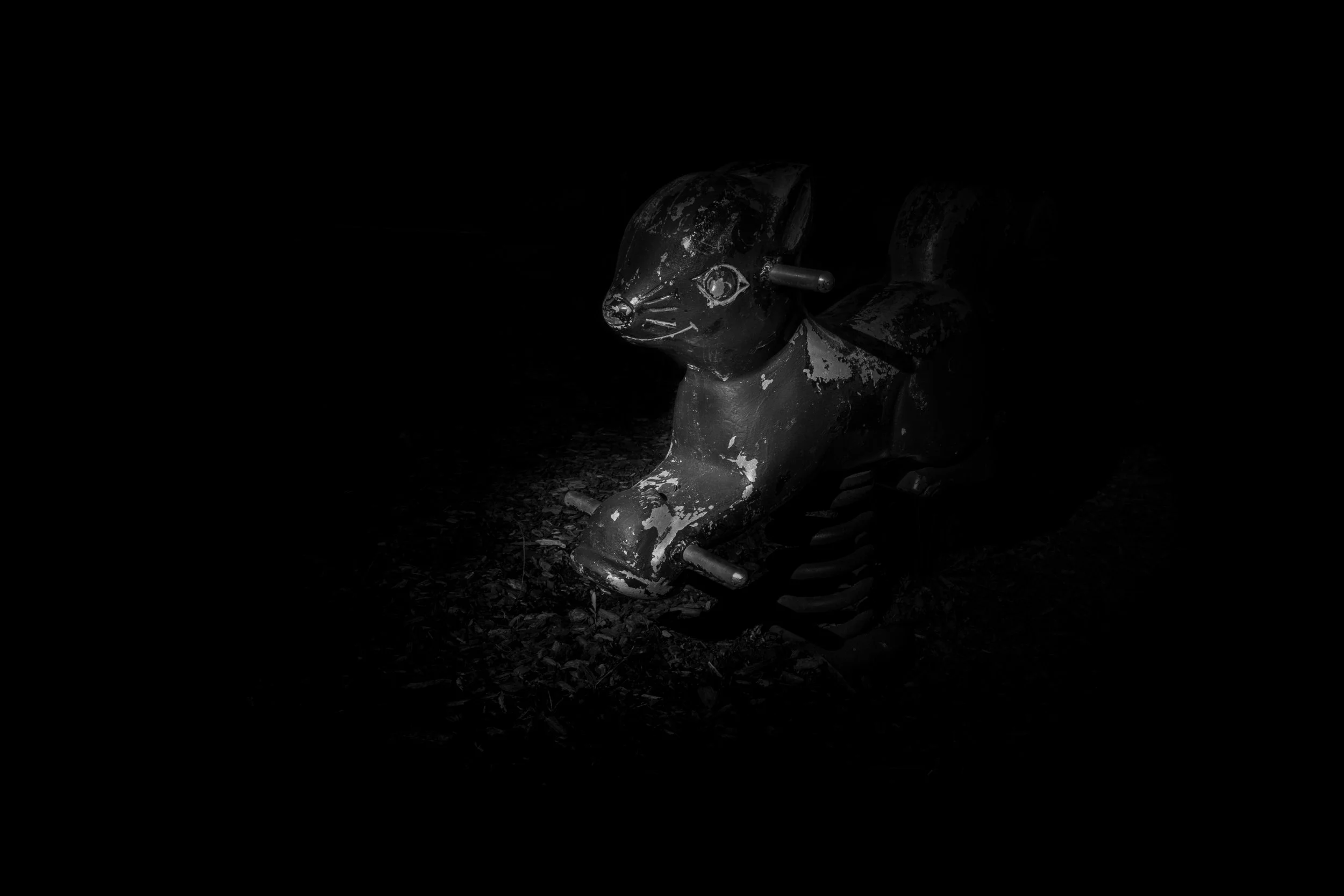 Waiting
A spring rider found at a playground.