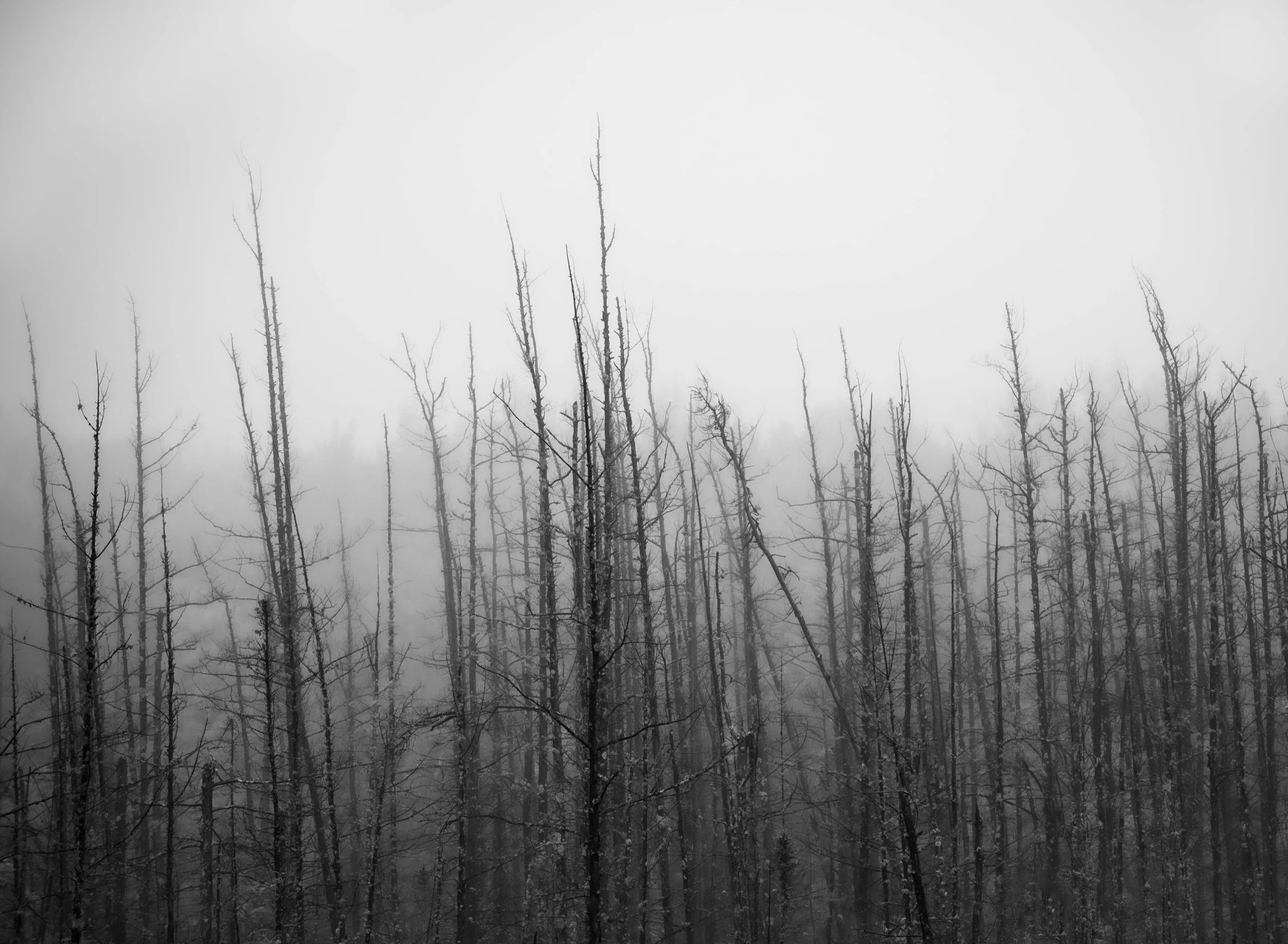 Solitude