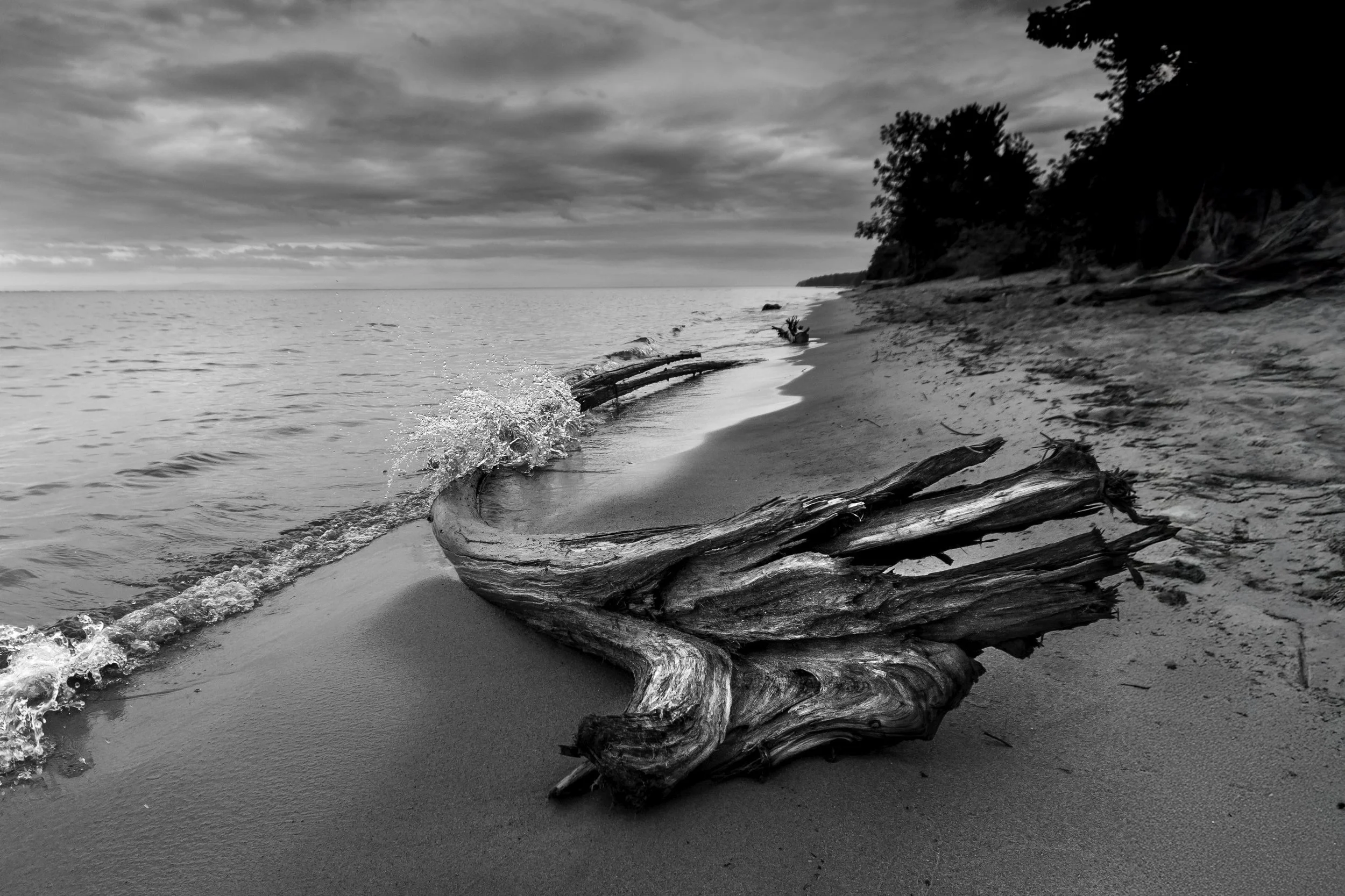 Beached