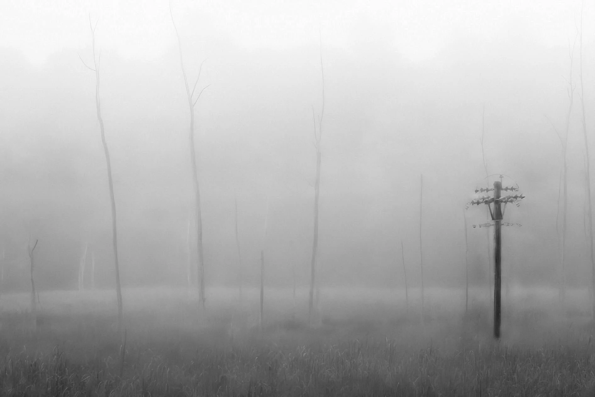 Disconnected
 .