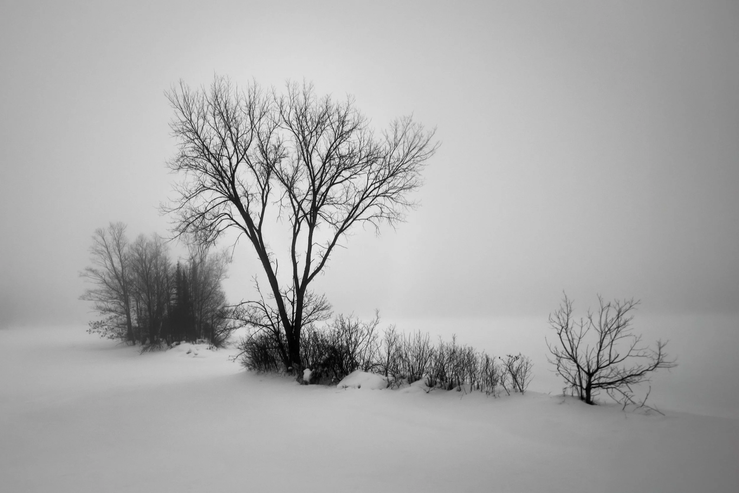 Singularities