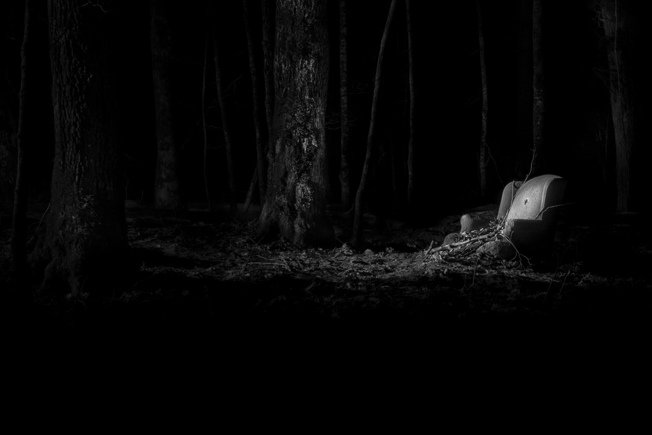 Comfort
An abandoned chair in a northern Wisconsin forest. The seat filled with leaves and branches. The forest is not waiting.