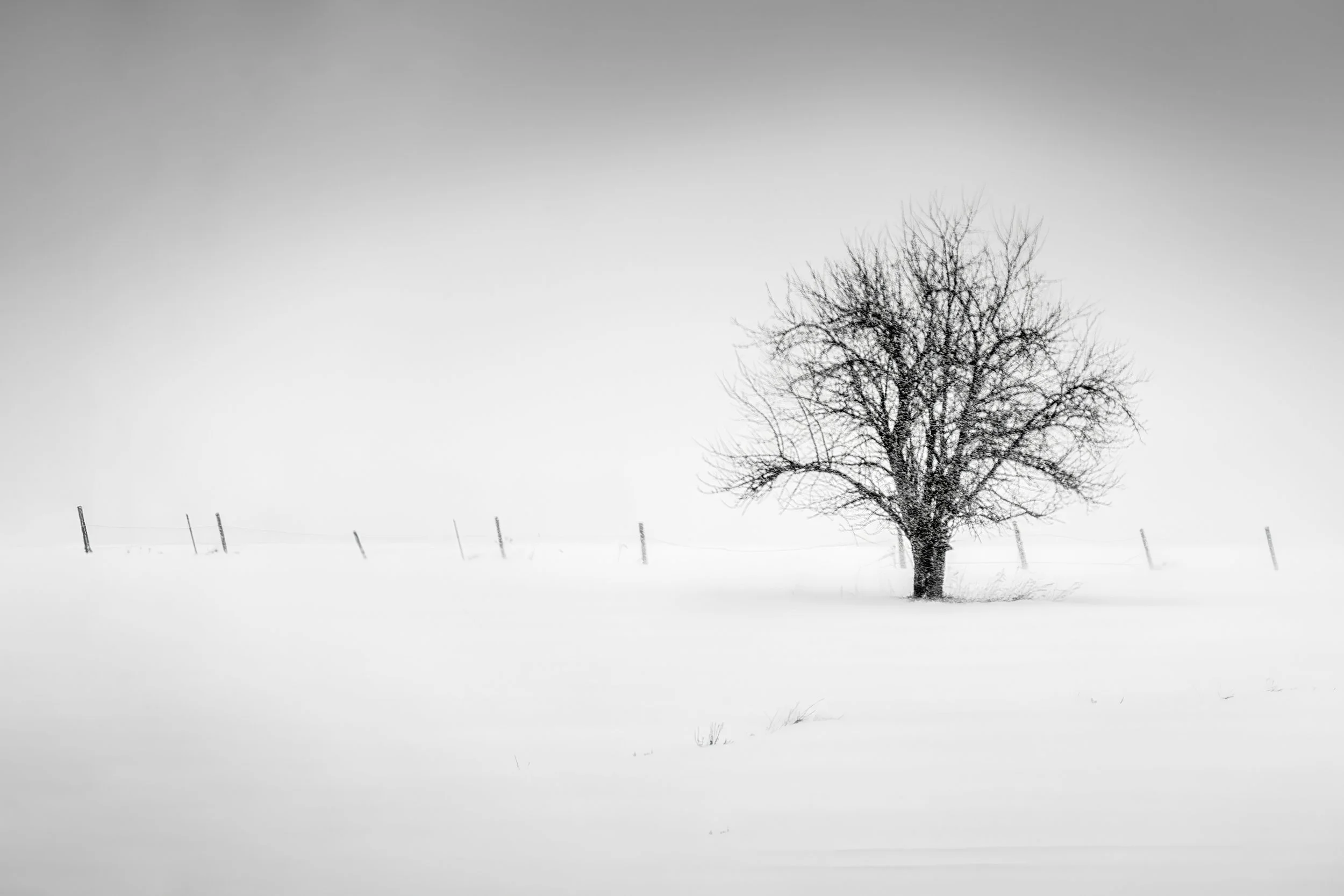 Solitary