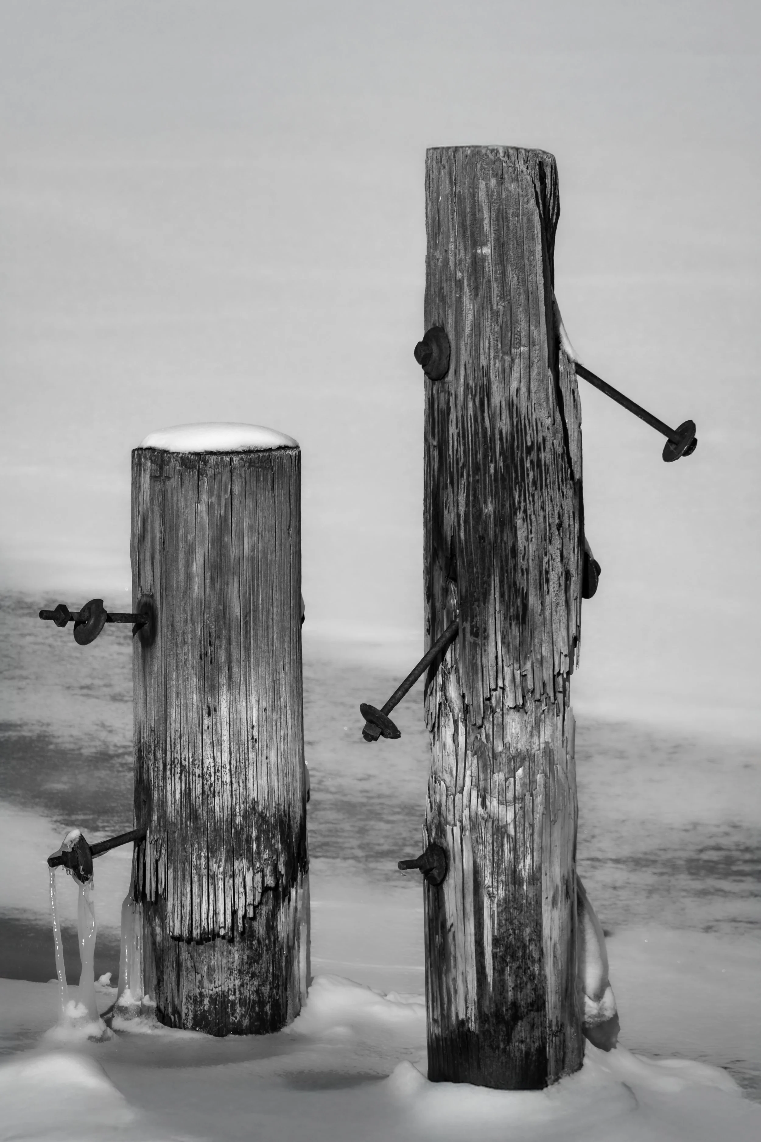 Constructed
Wounded, scarred, and pierced by iron. The elements demanded collapse, but these stood their ground. Survival just the same.