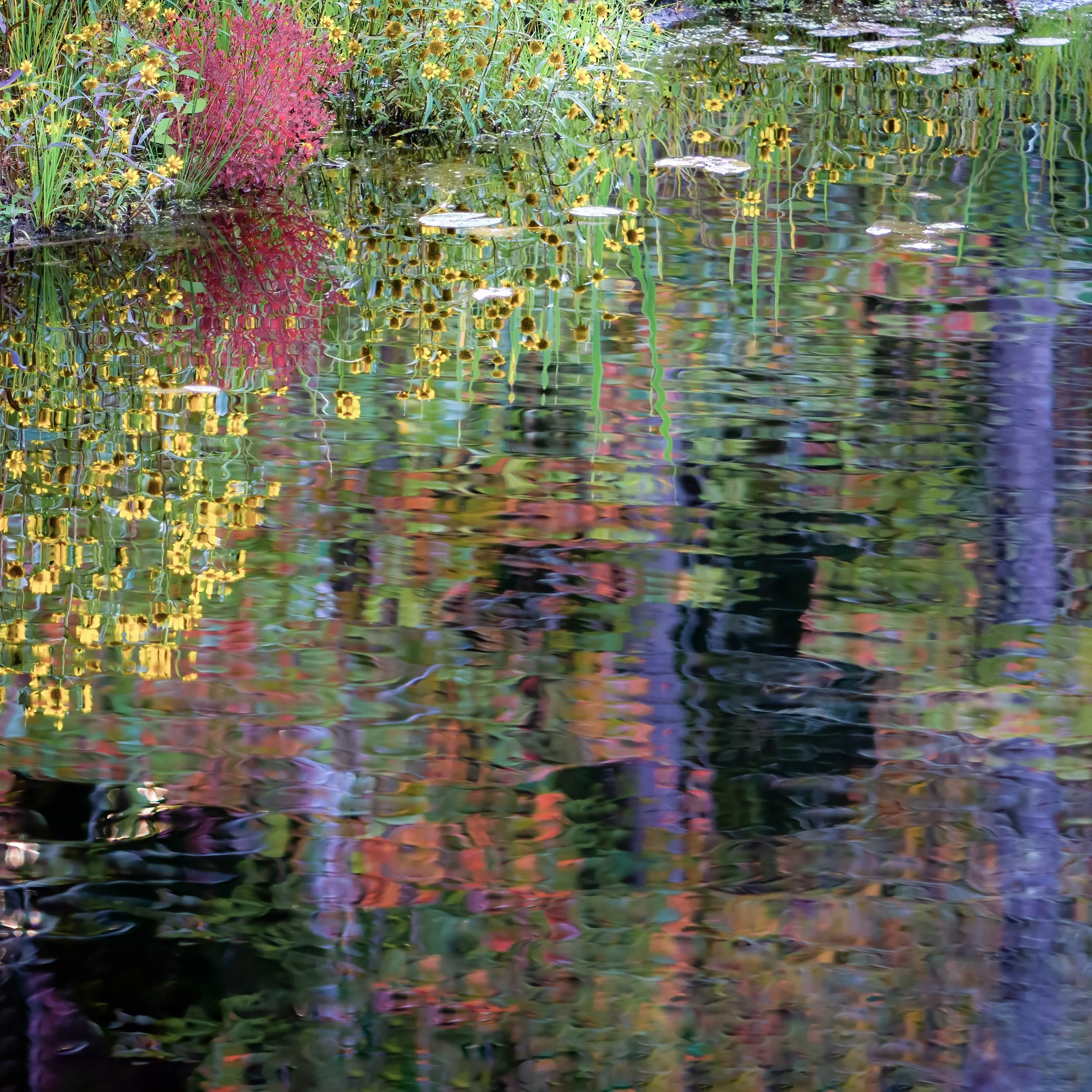 Monet
