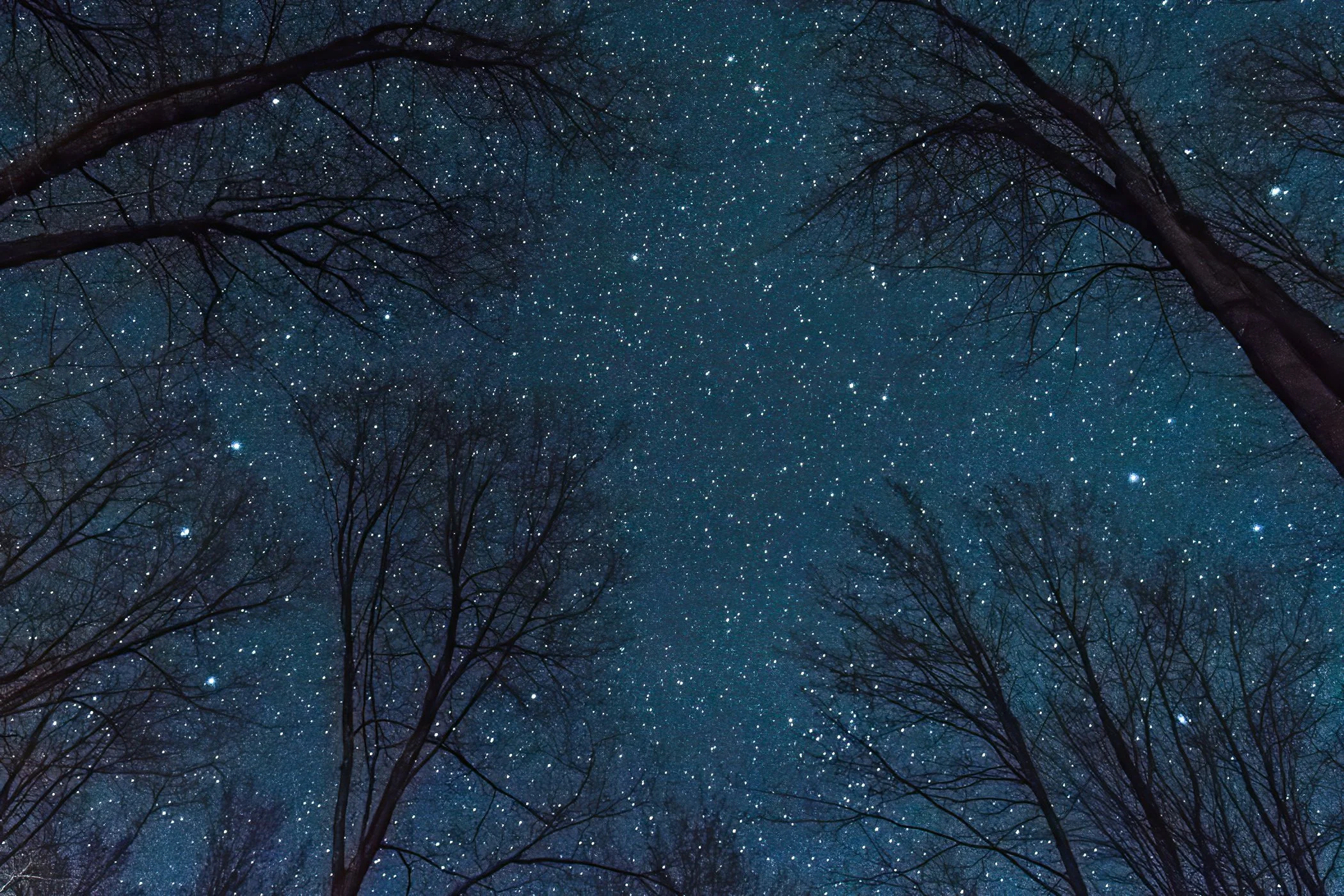 Starry Night