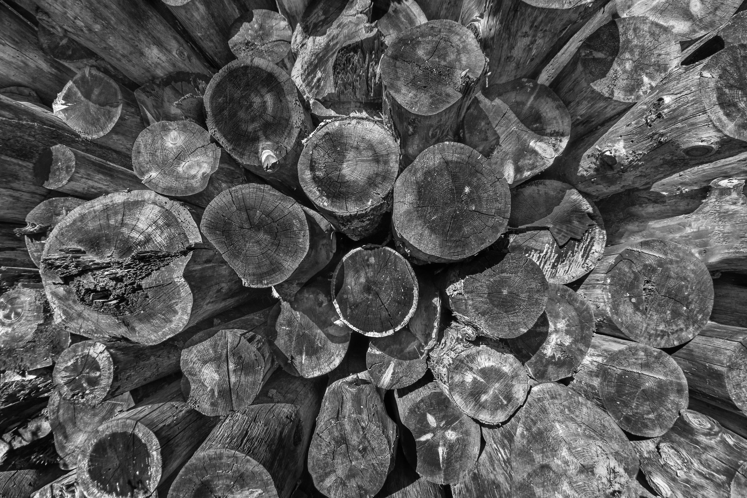 Wood