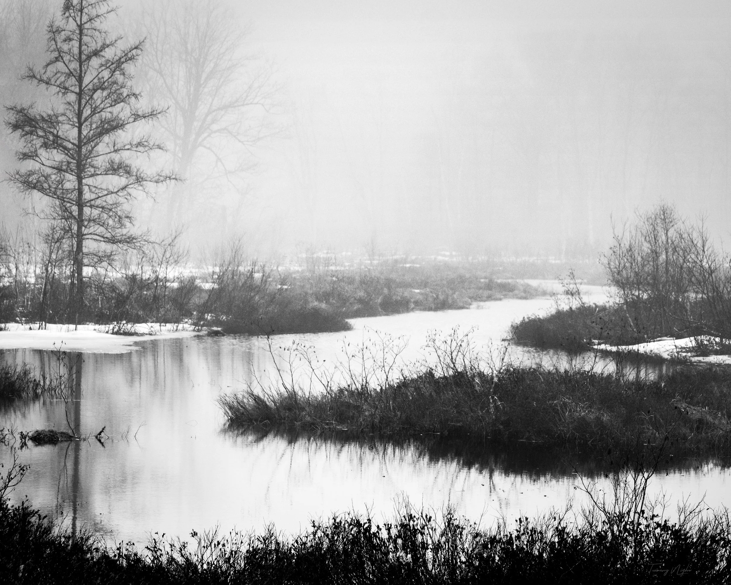 Wandering