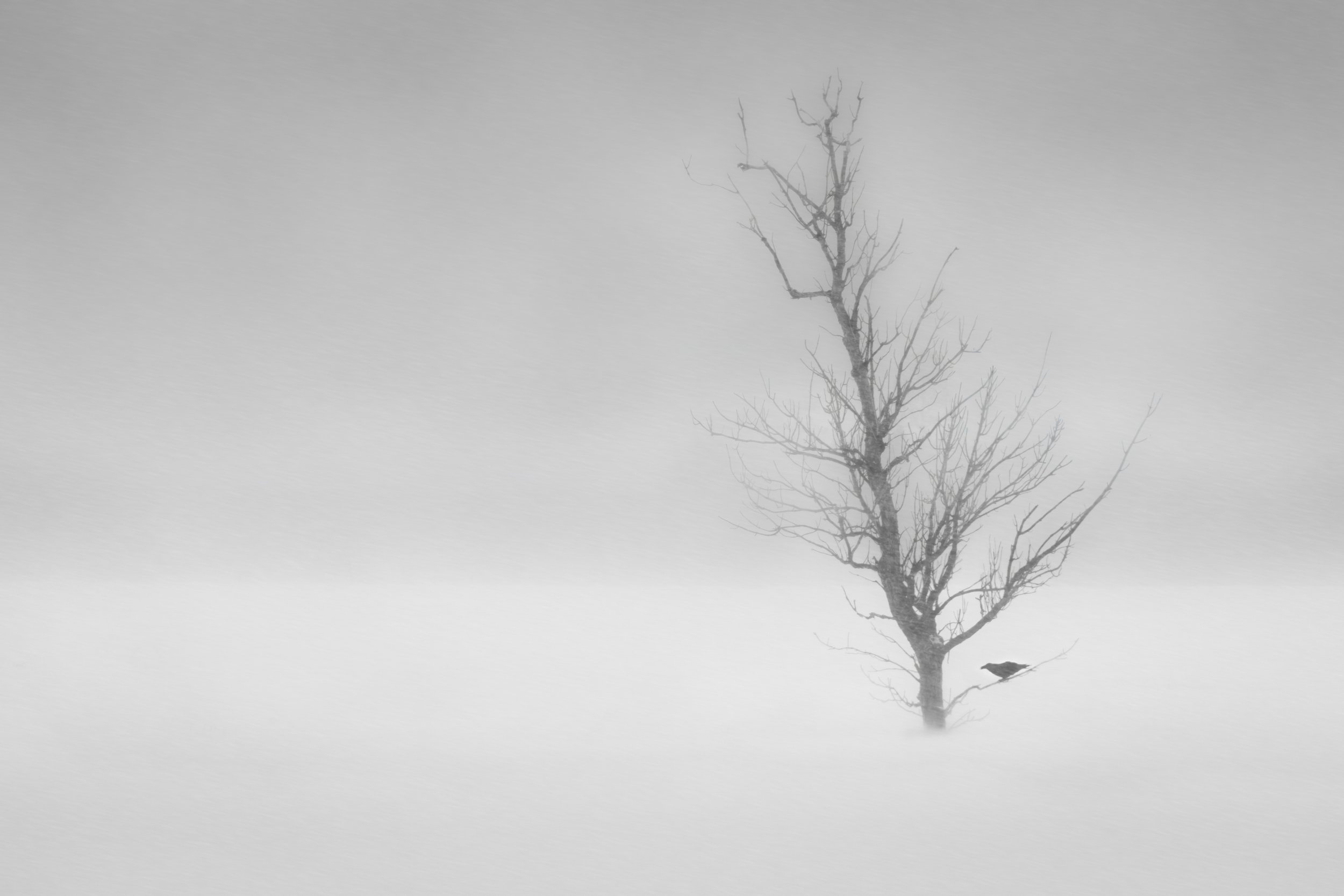 Weathering