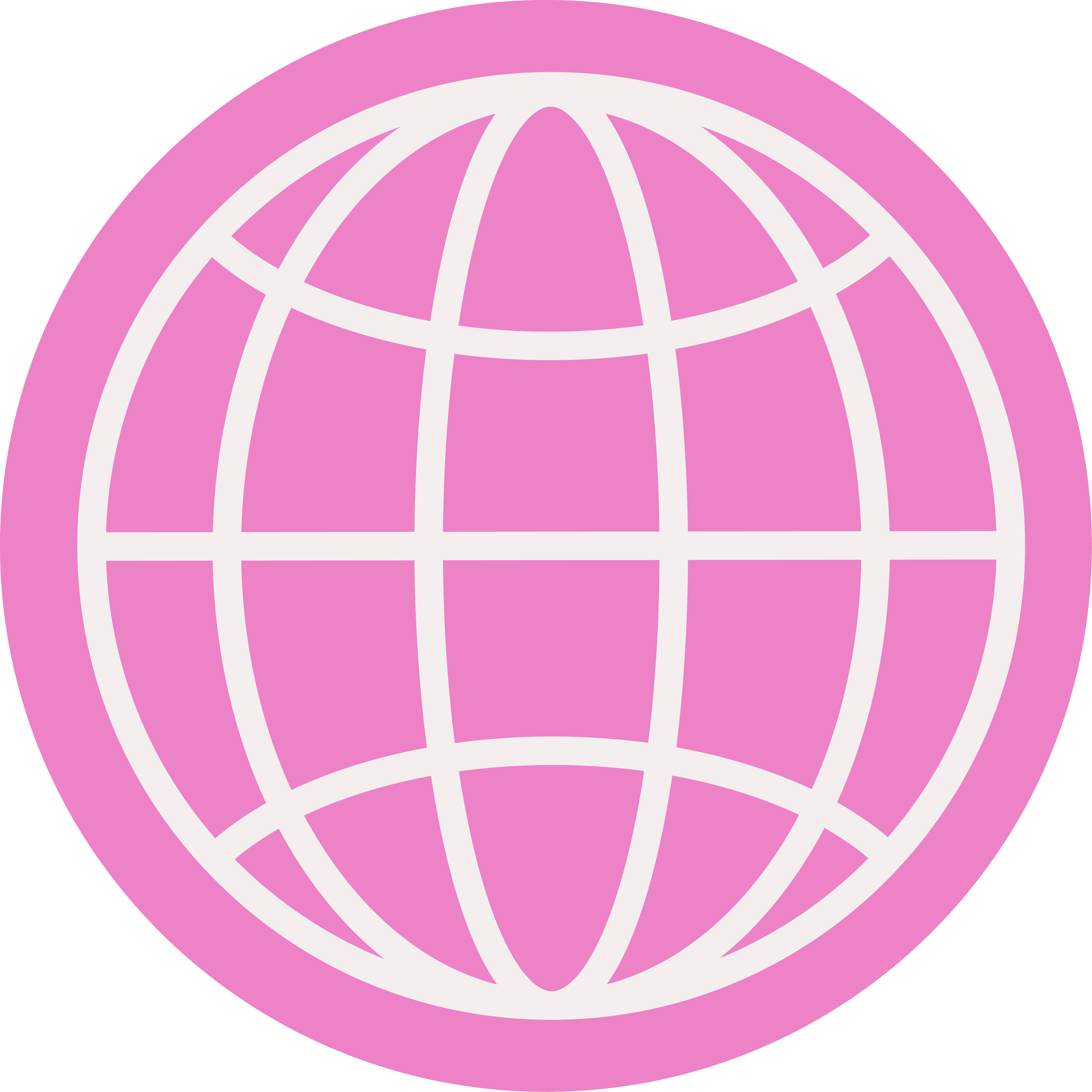 Pink globe with white latitude and longitude lines on a black background.
