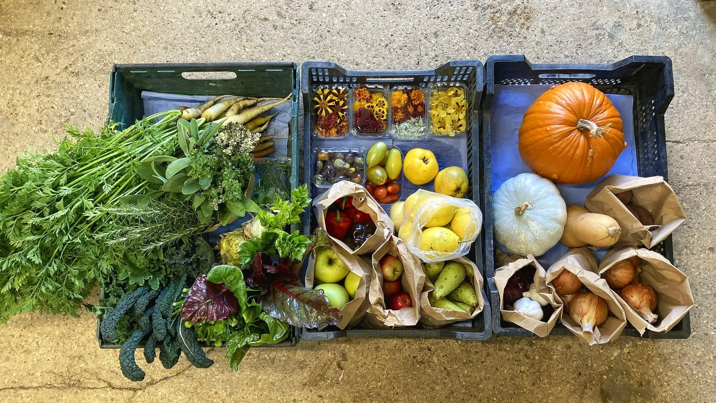 A large harvest of fruits and vegetables from a Cotswold garden.