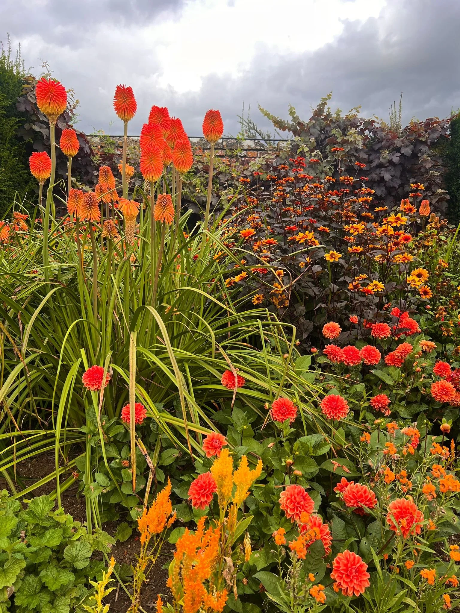 A large, orange themed herbaceous border within a Cotswold garden.