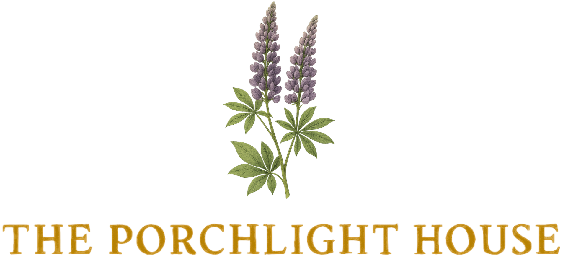 The Porchlight House — photo from theporchlighthouse.com