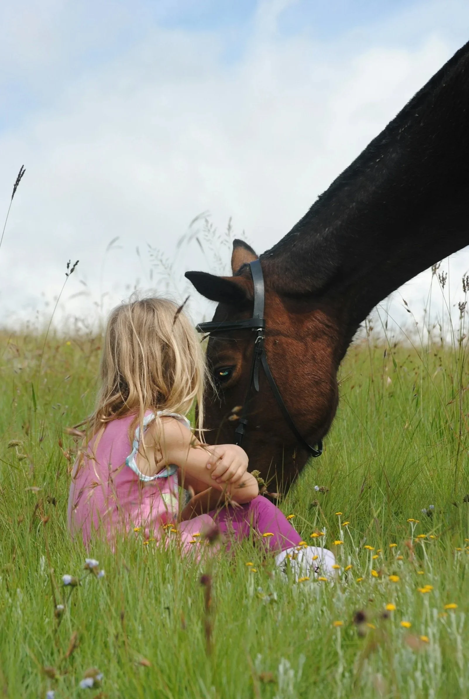 A young girl with long blonde hair, wearing a pink dress, sitting in a grassy field, touching noses with a brown horse.