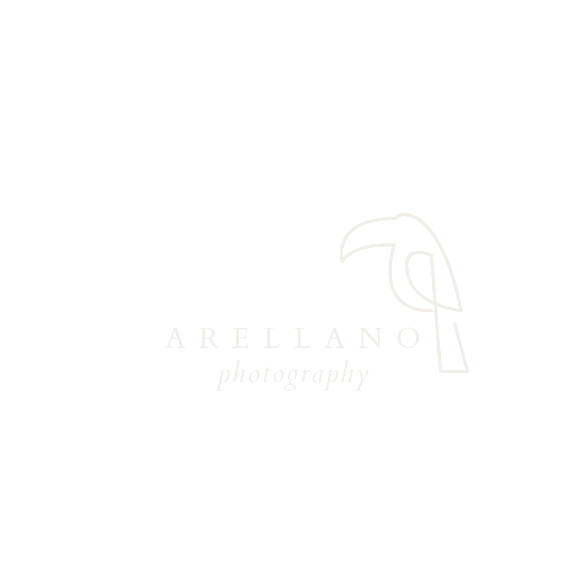 Logo for Arellano Photography featuring stylized outlines of a camera and a flower, with the text 'ARELLANO photography' underneath.