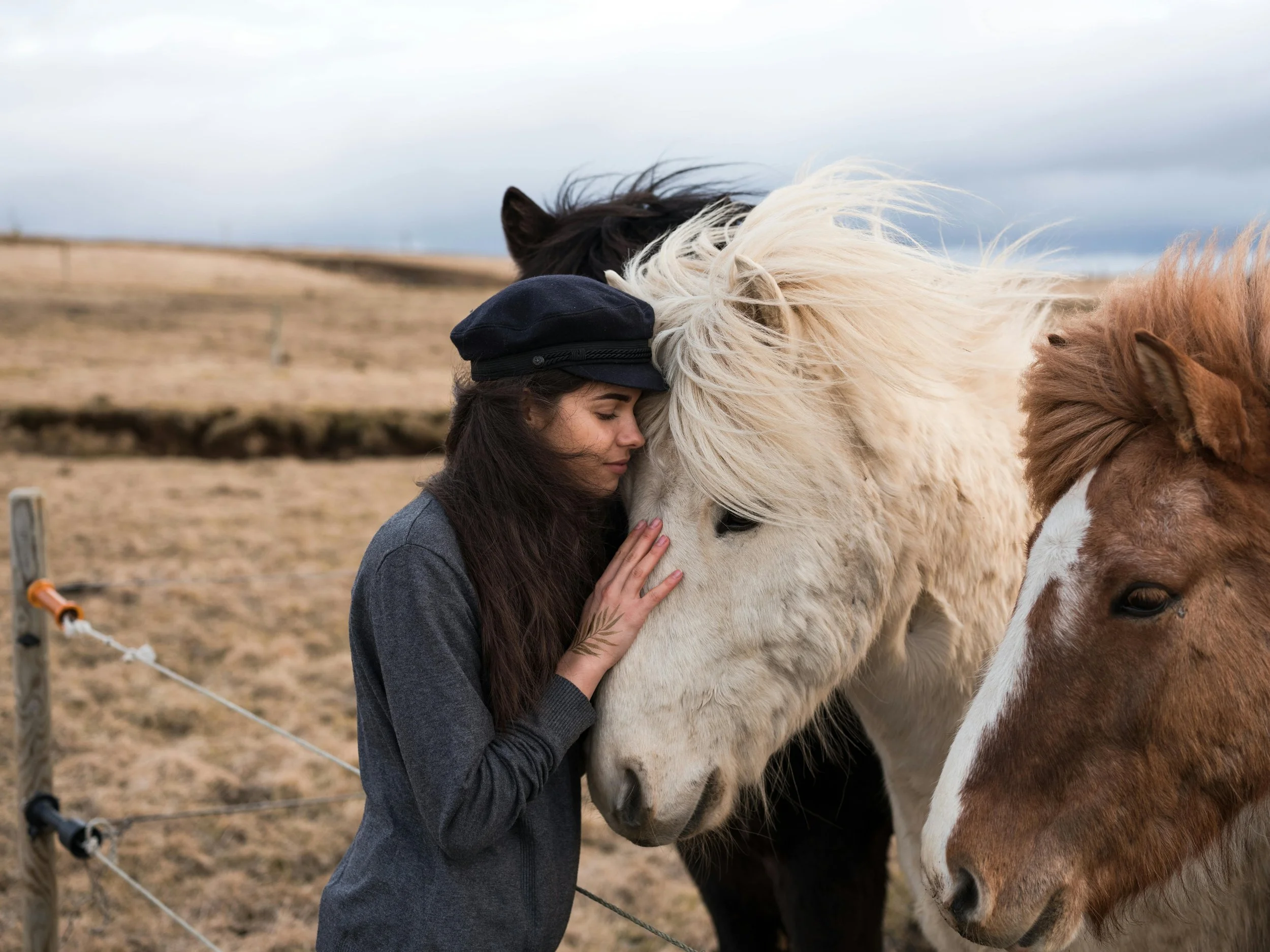 Why Horses Heal Us