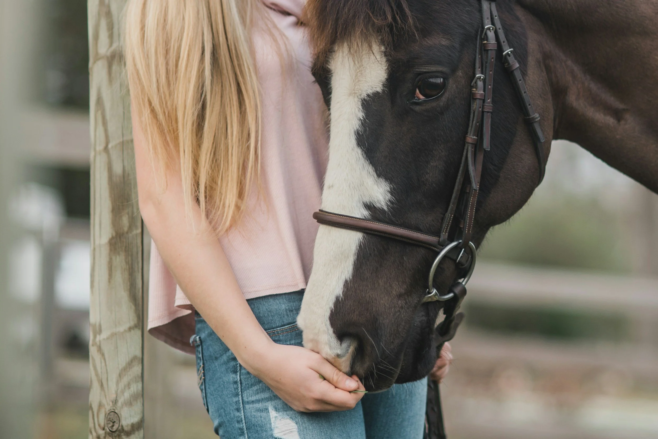 A Day in the Life at Buddy's Place Therapeutic Farm