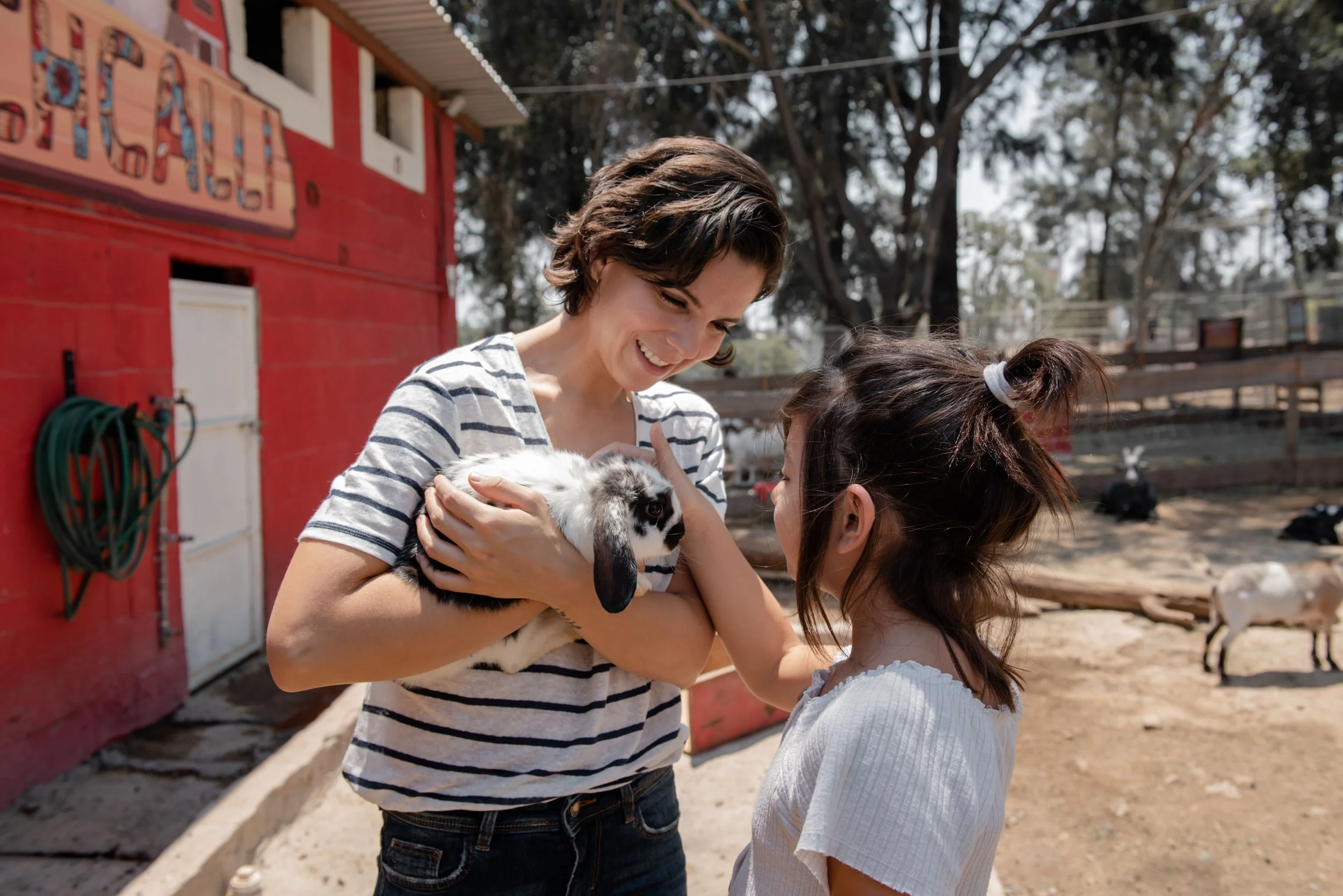 Small Animals, Big Feelings: How Farm Animals Help Children Heal