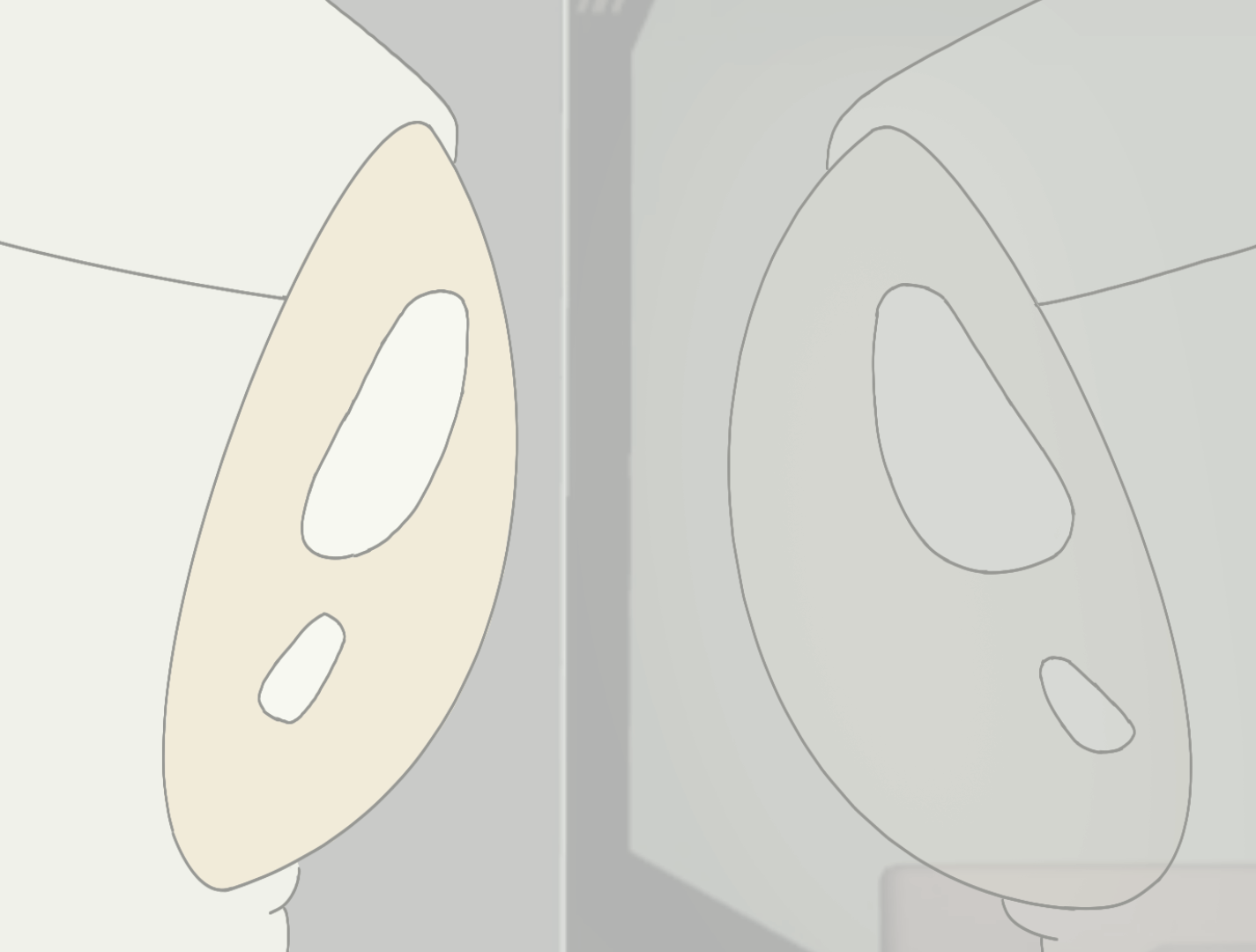 Animation