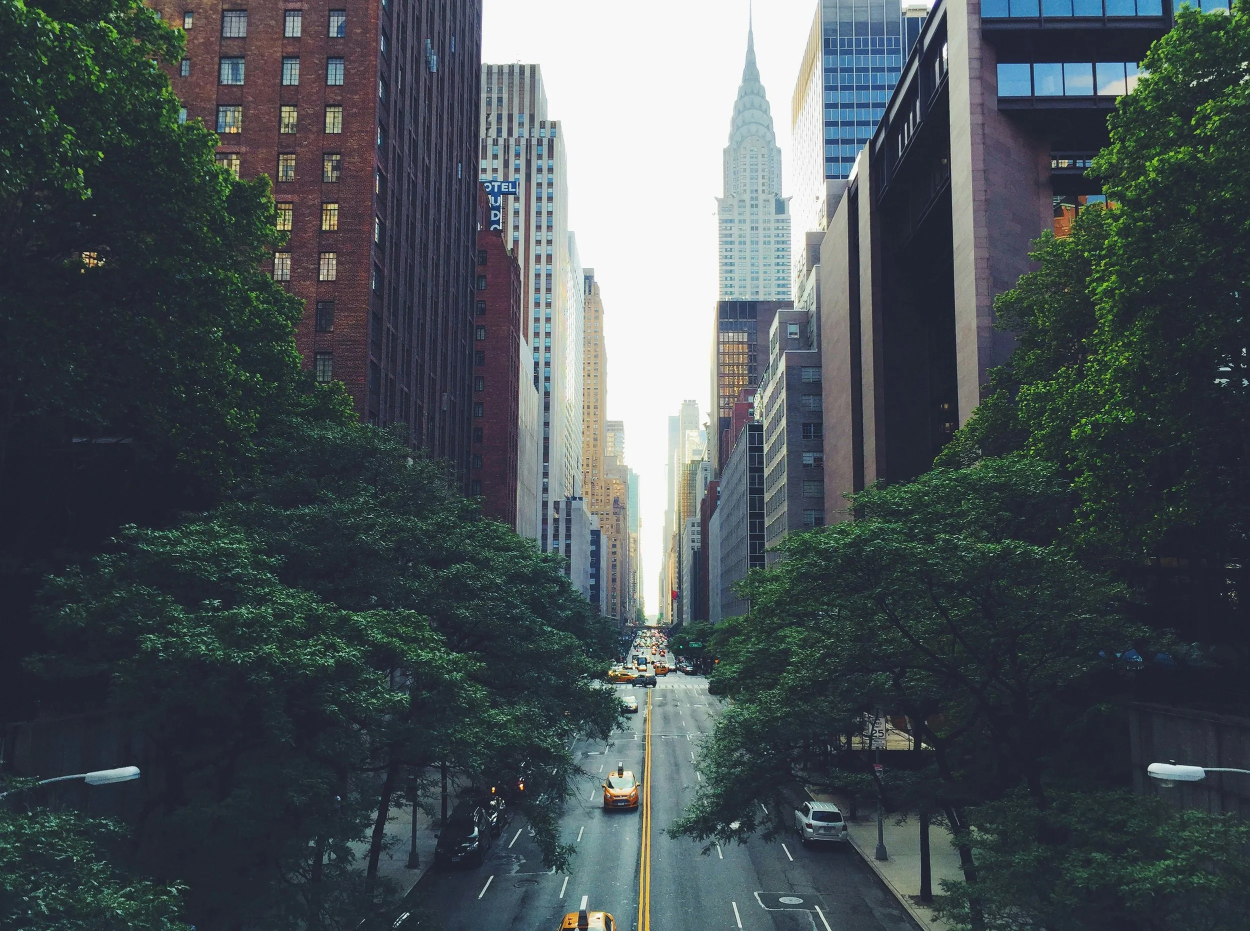 City street view with tall skyscrapers on each side, green trees lining the sidewalks, and a few cars driving down the road.
