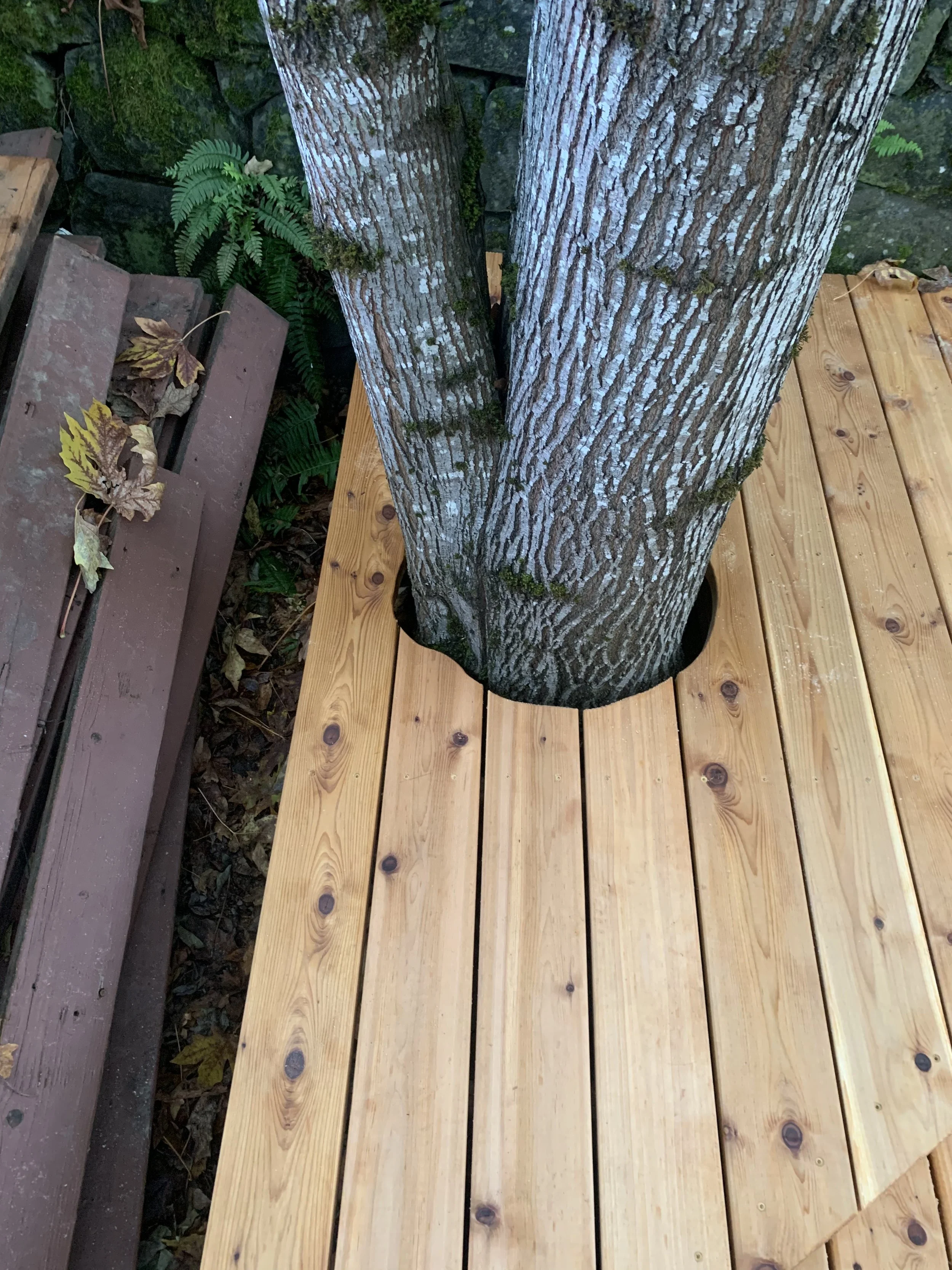 Cedar deck II
