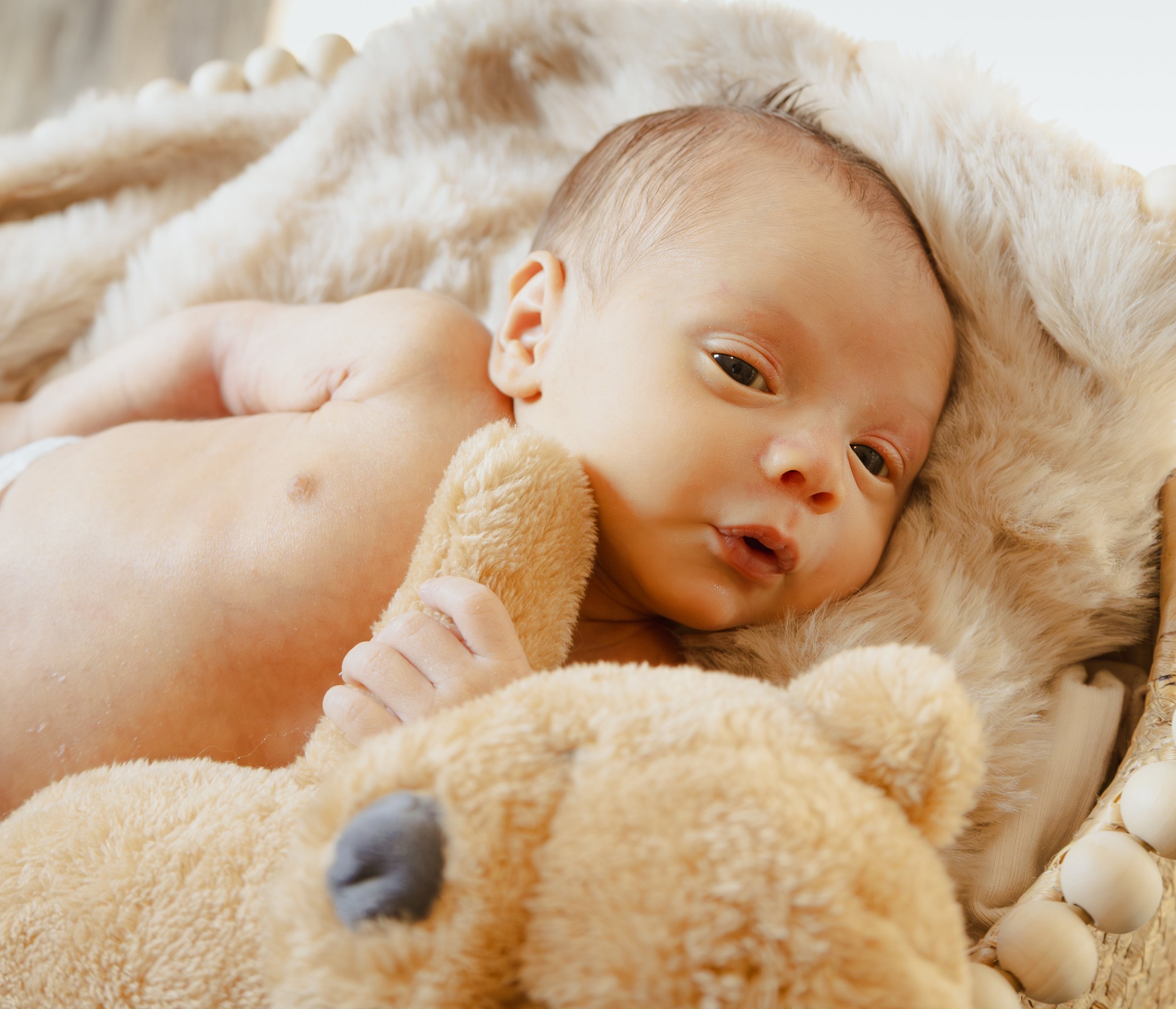 AshleyEhlersPhoto-63.jpg