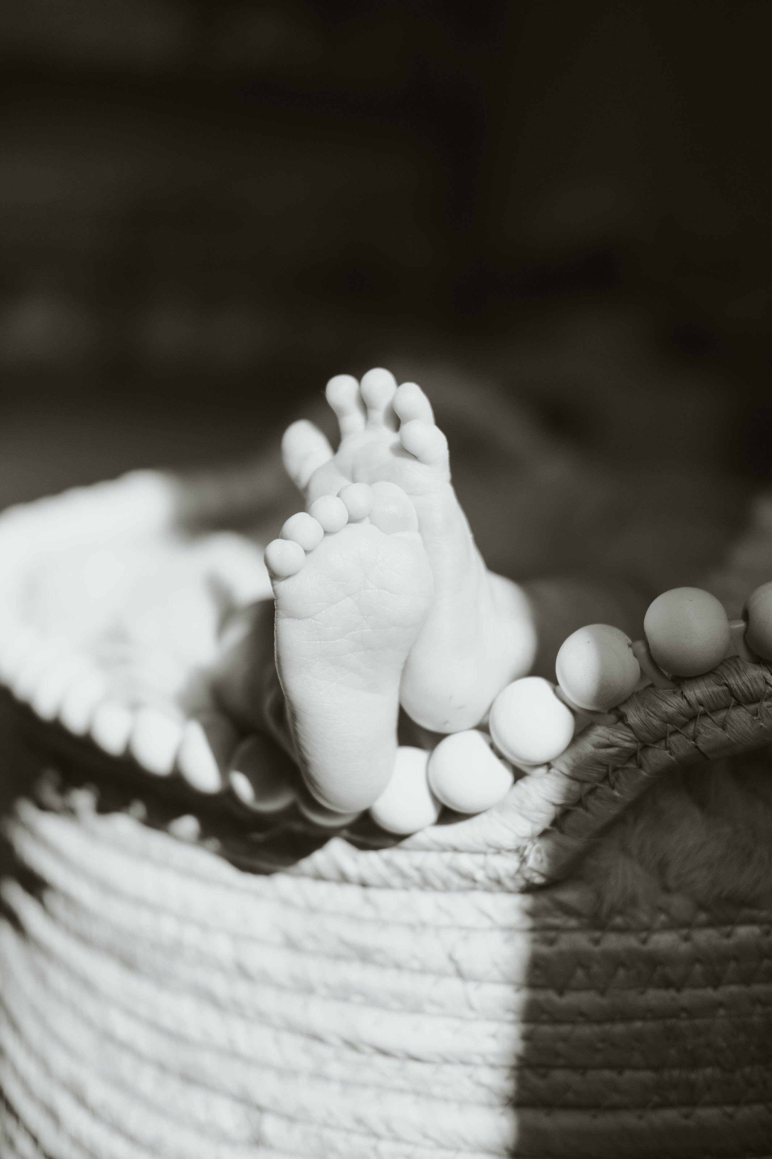 AshleyEhlersPhoto-55.jpg
