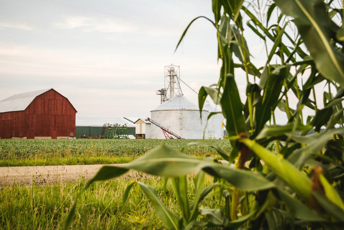A farm landscape with a red barn, a white grain silo, and lush green crops in the foreground.
