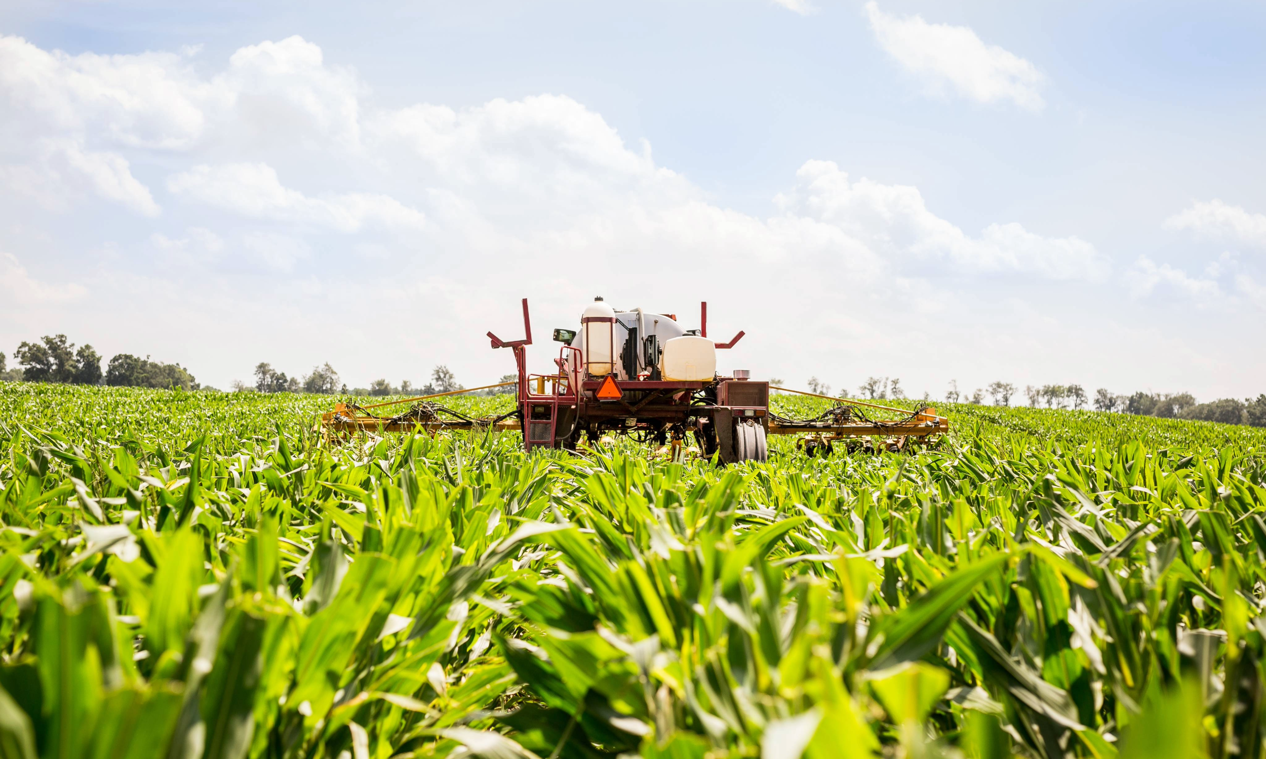 A tractor in a cornfield under a partly cloudy sky.