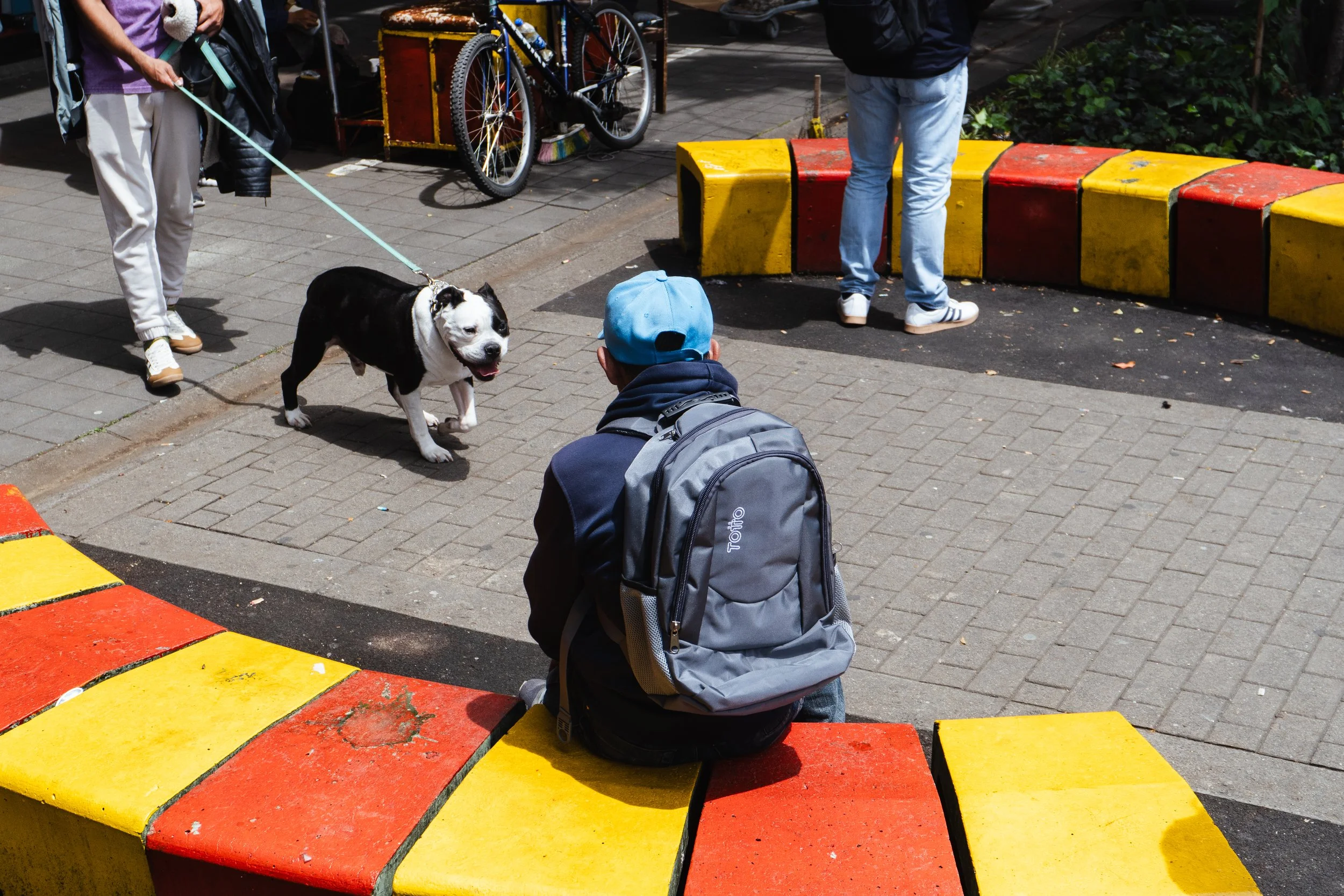 A person with a gray backpack and blue cap sitting on a red and yellow concrete barrier in an outdoor public space, while a dog on a leash approaches him. Other people are visible in the background, some standing near bicycles and colorful barriers.