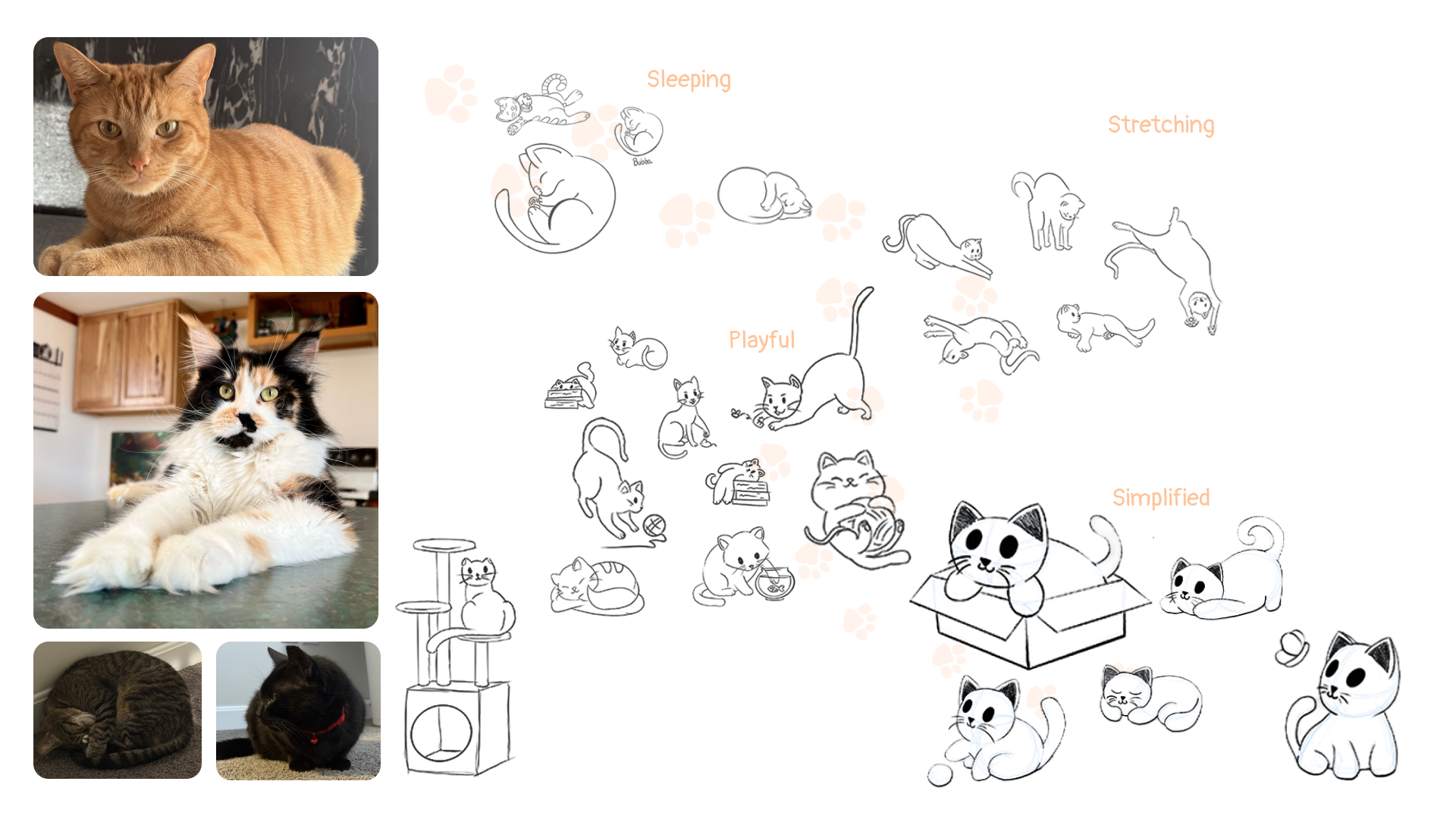 Mood Board and Sketches.png