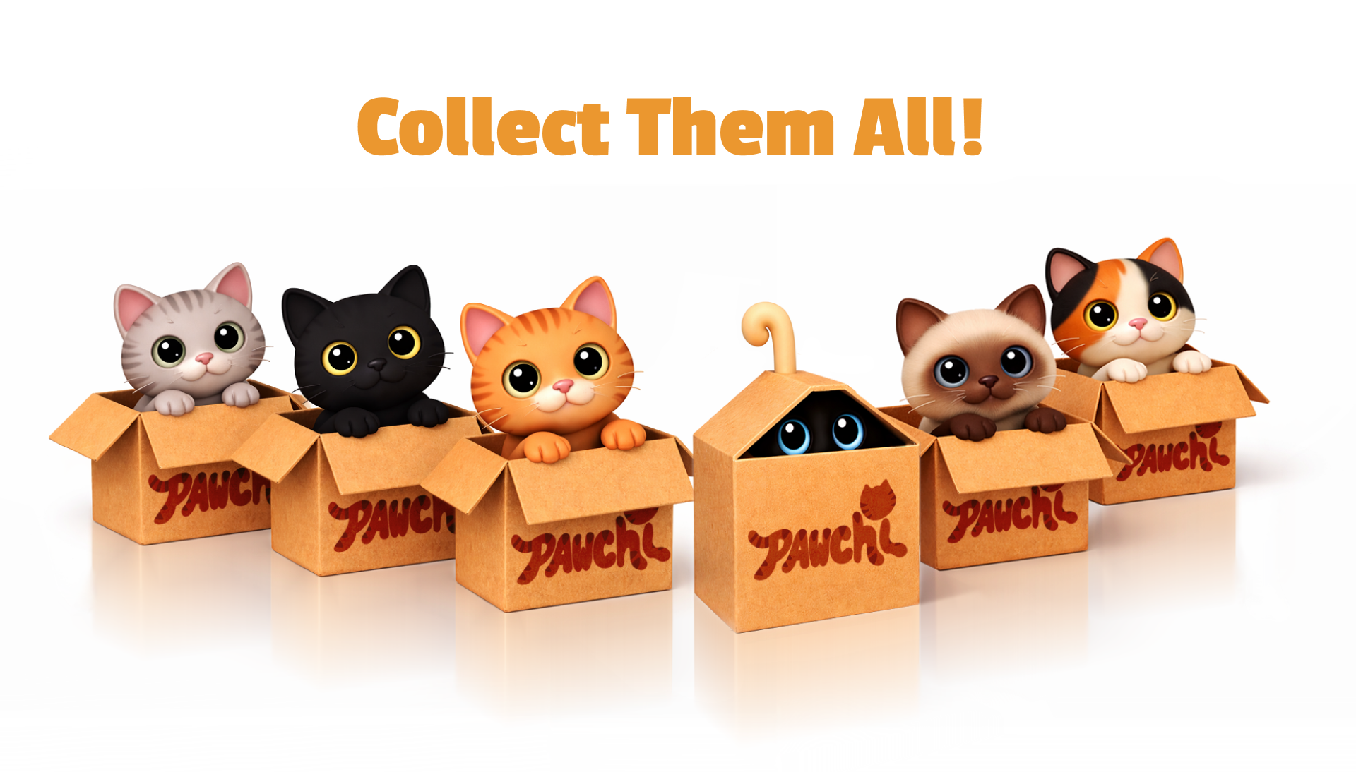 Hero Shots of Cats.png