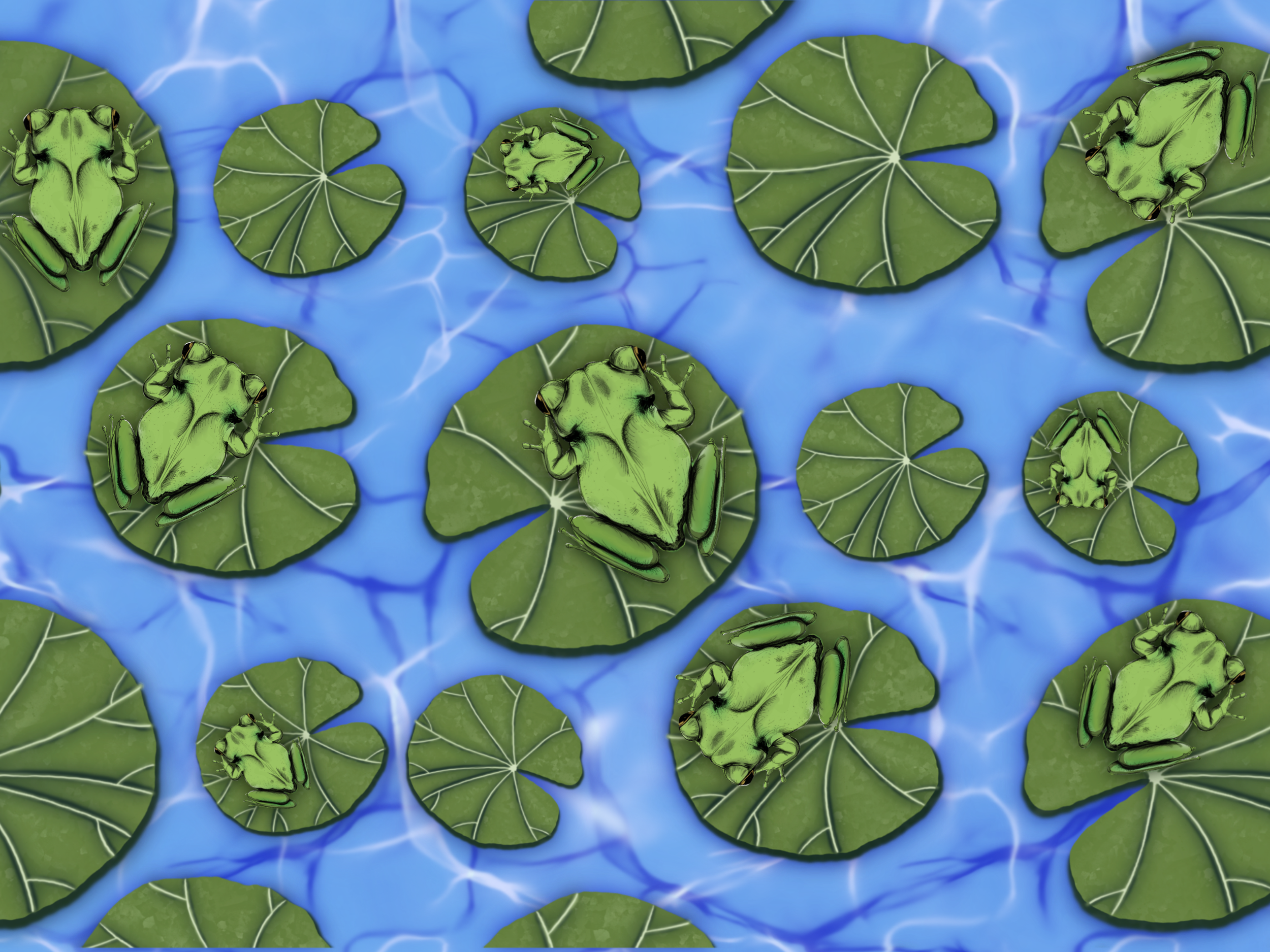 Frog and Lilypad_Flower and Fauna.png