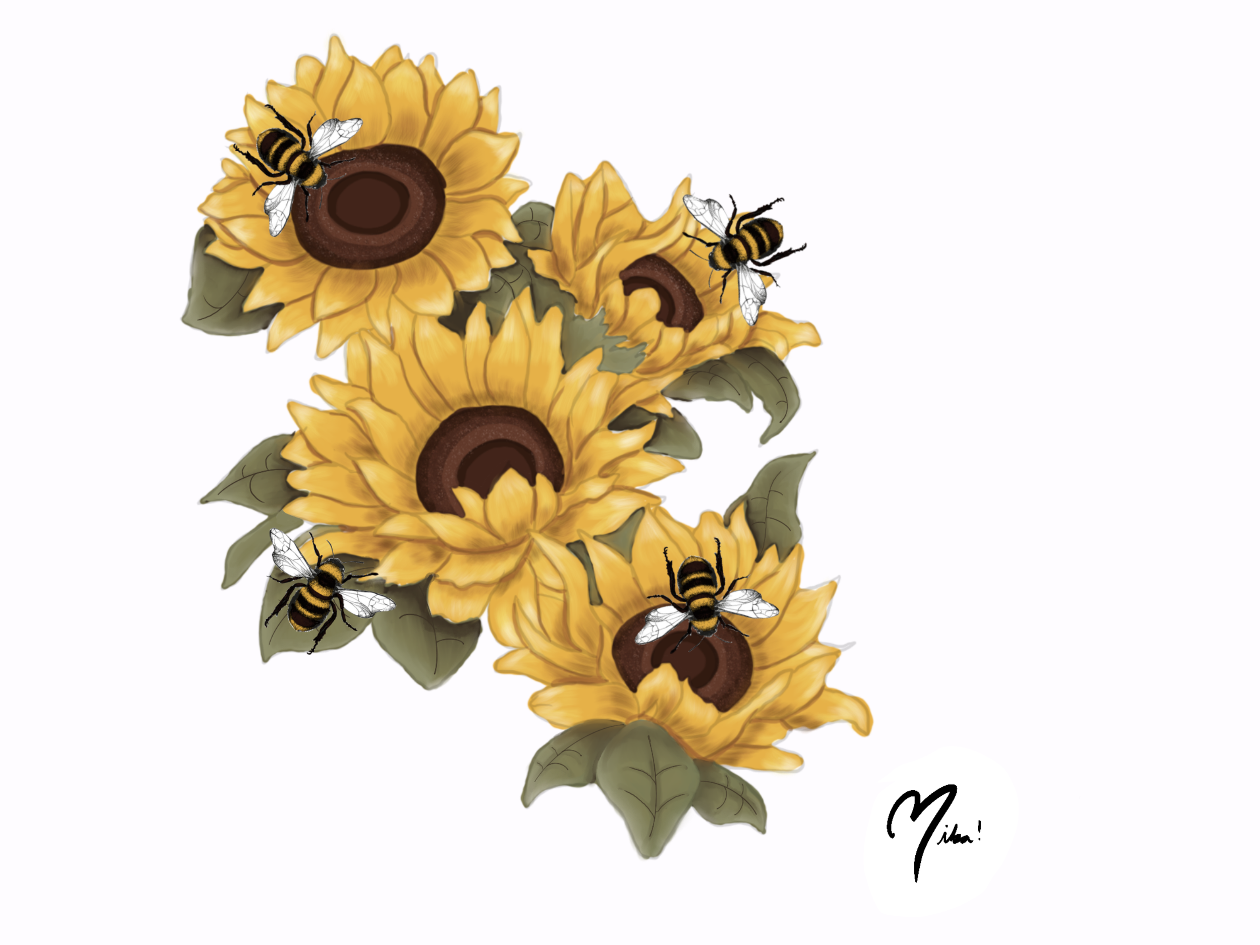 IMG_1714.png