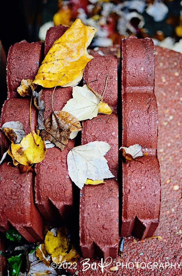 2022 11 11_0001 webcopy.jpg