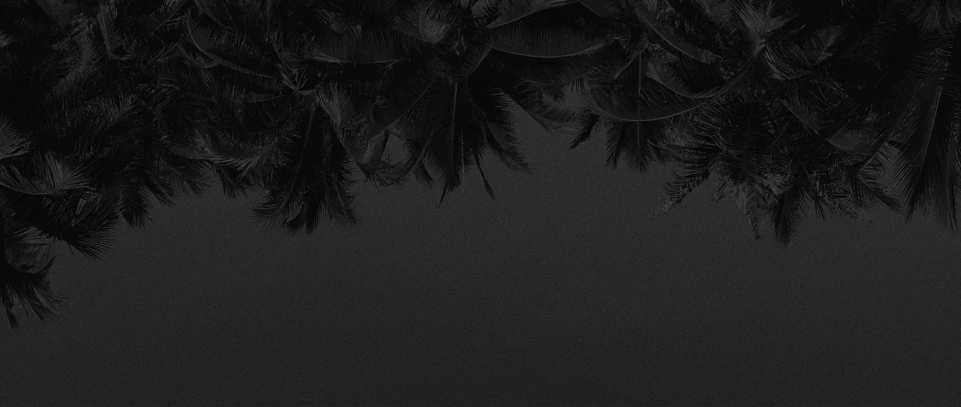 imgi_18_villa-republic-miami-header.webp