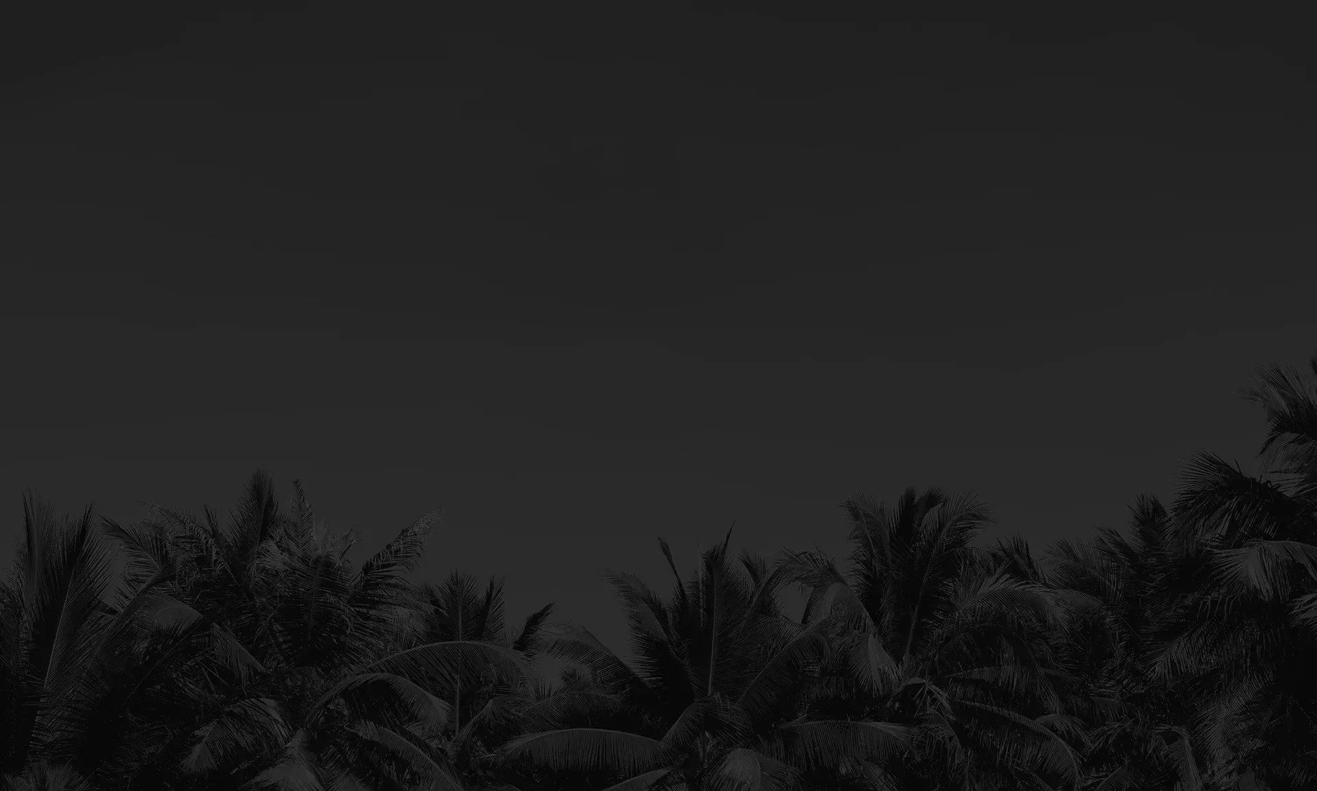 imgi_35_villa-republic-miami-footer-bg.webp