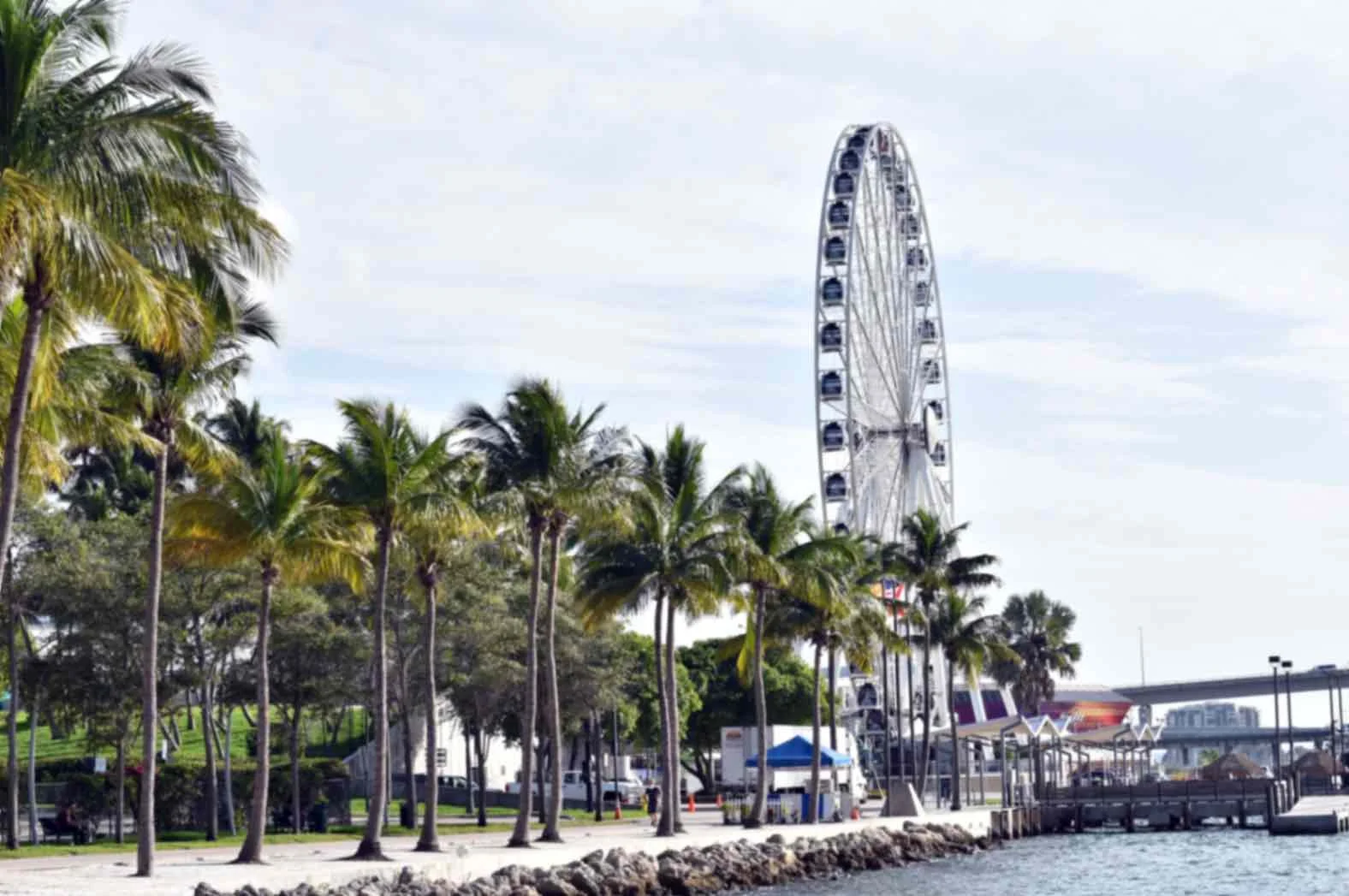 Best Things for Families to Do in Miami During the Summer