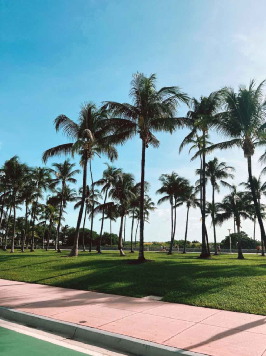 Fall in Miami