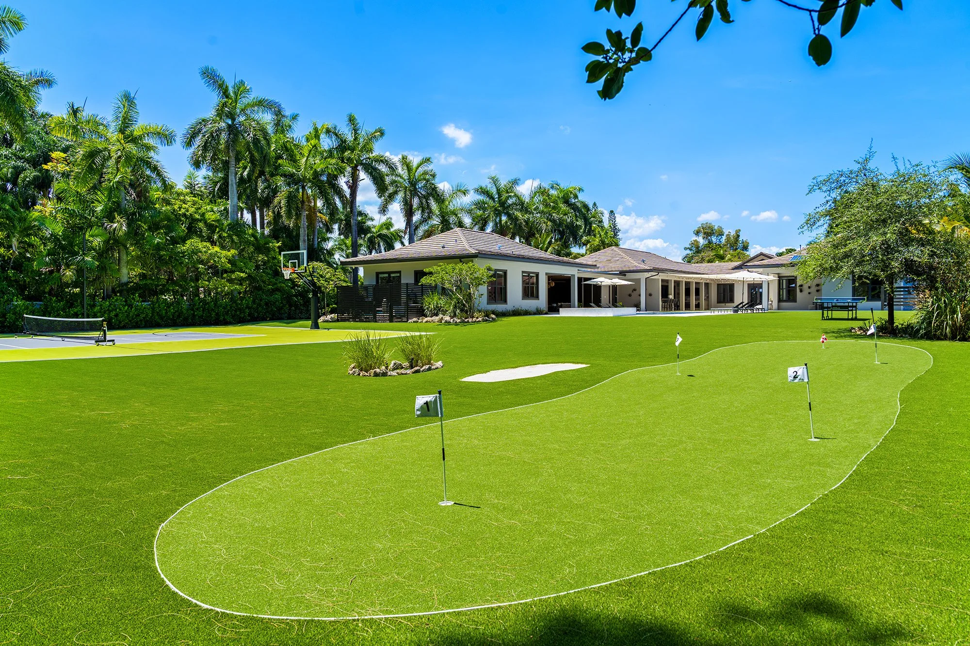 46.jpg
