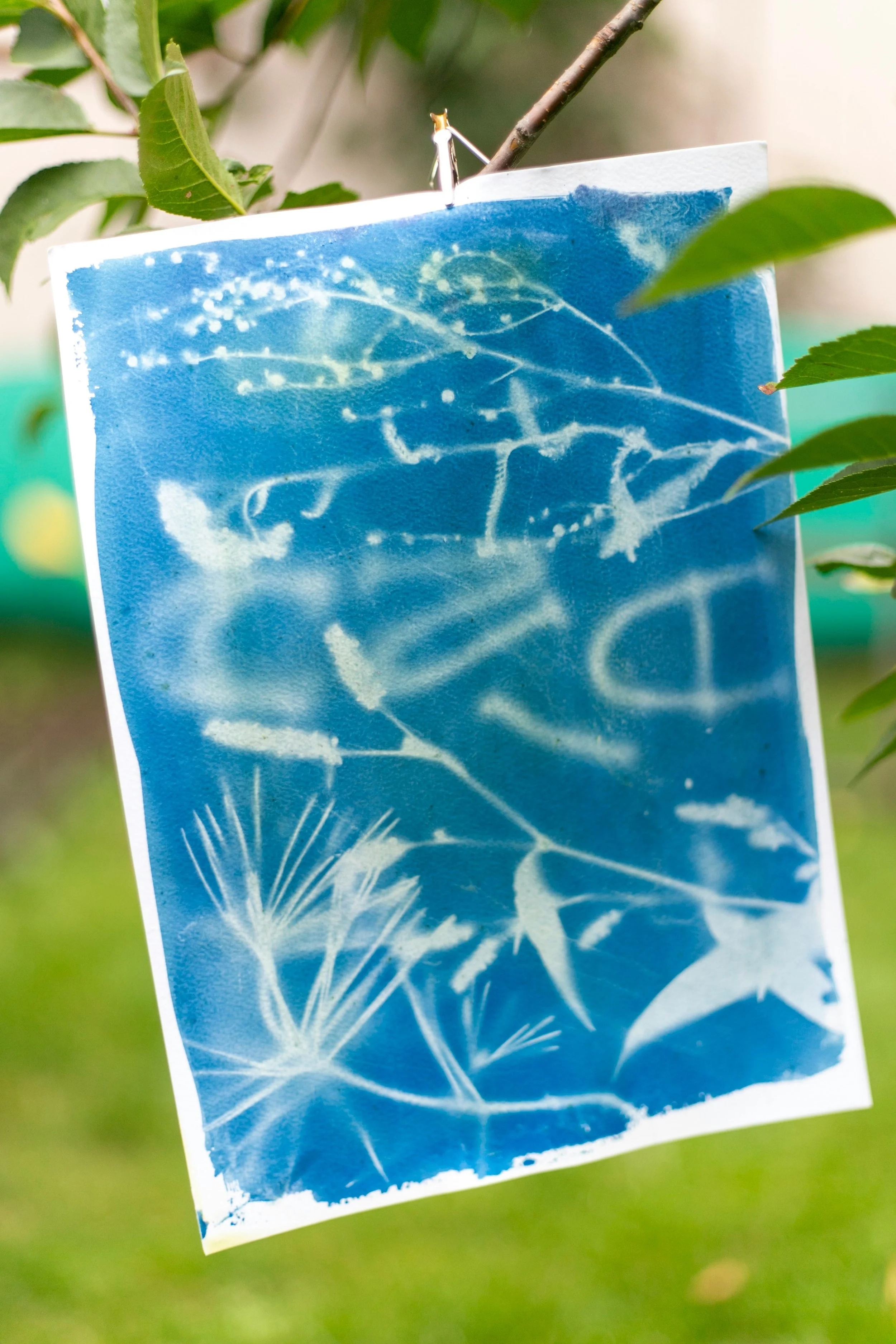 Luz y Soltar, Light & Release | October 24, 2026 · 10am–4pm | Led by Marisa and Nick