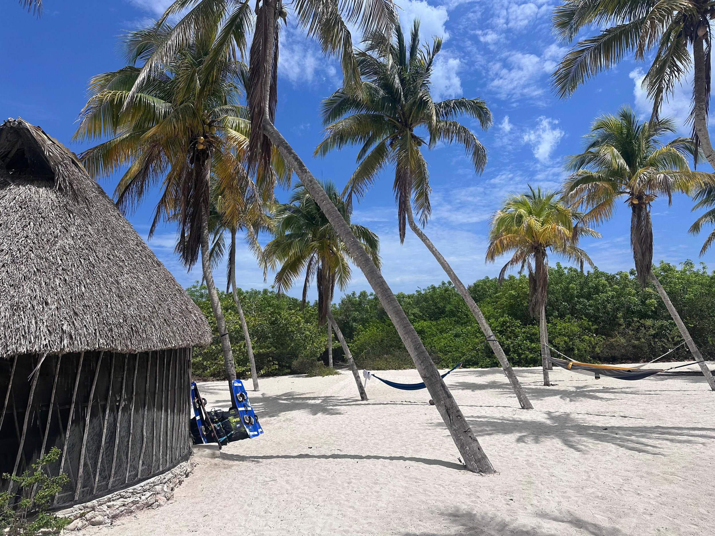 Beach scene with palm trees, a thatched hut on the left, lounge chairs, and hammocks, under a partly cloudy blue sky.