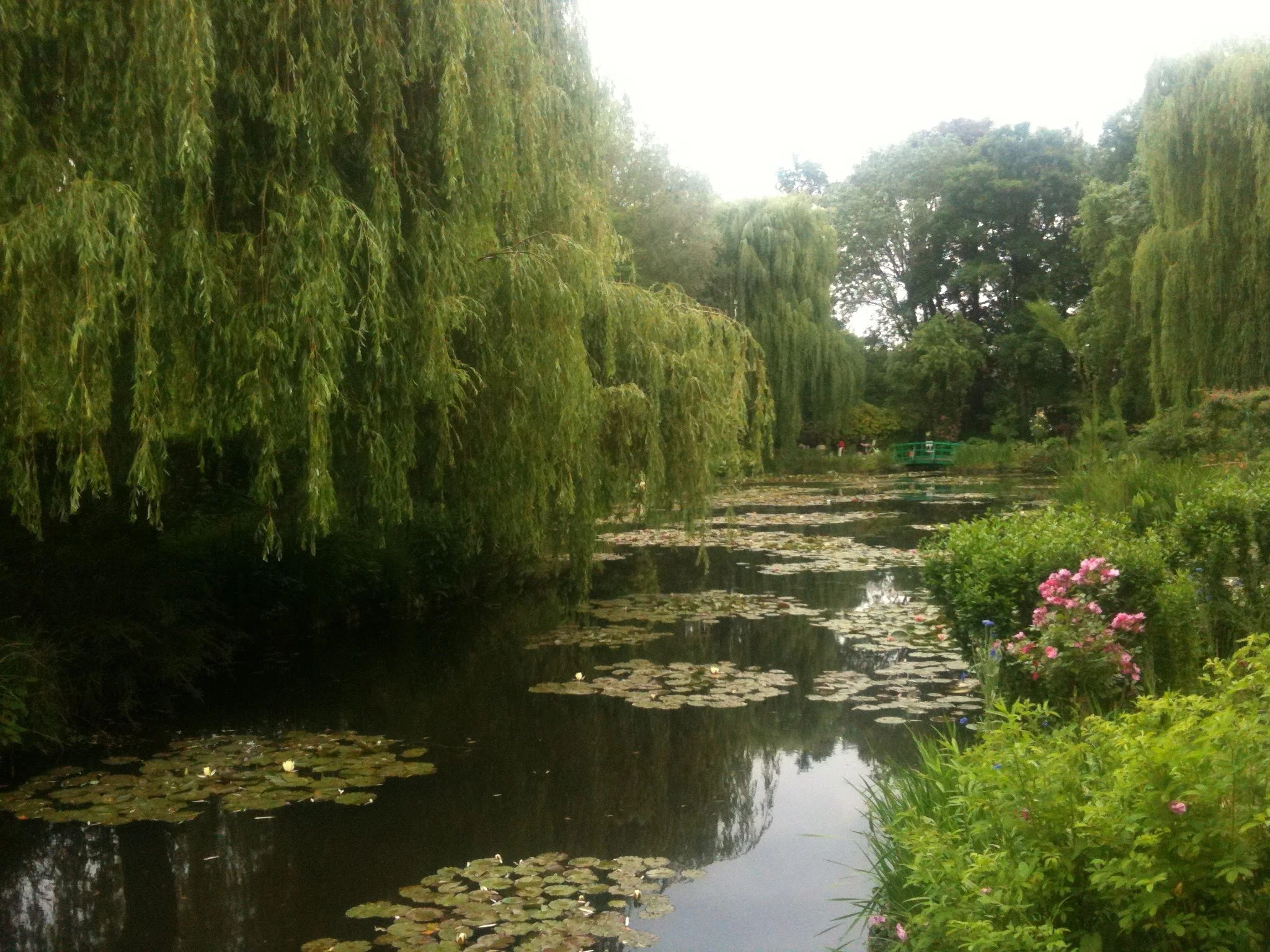 From the Royal Parks to the Highlands – The Story of MacDonald Horticulture