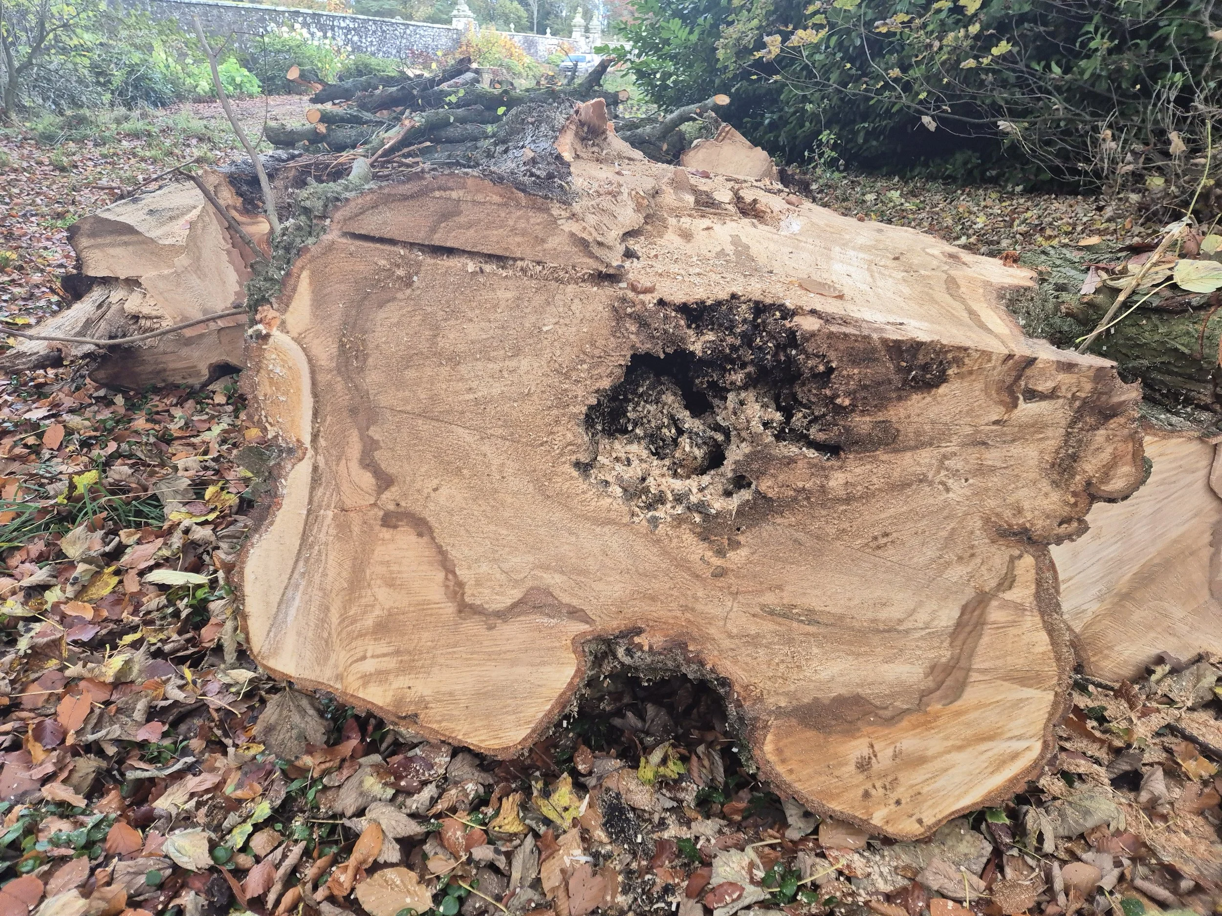 Seeing the Problem Before You Know Its Name
